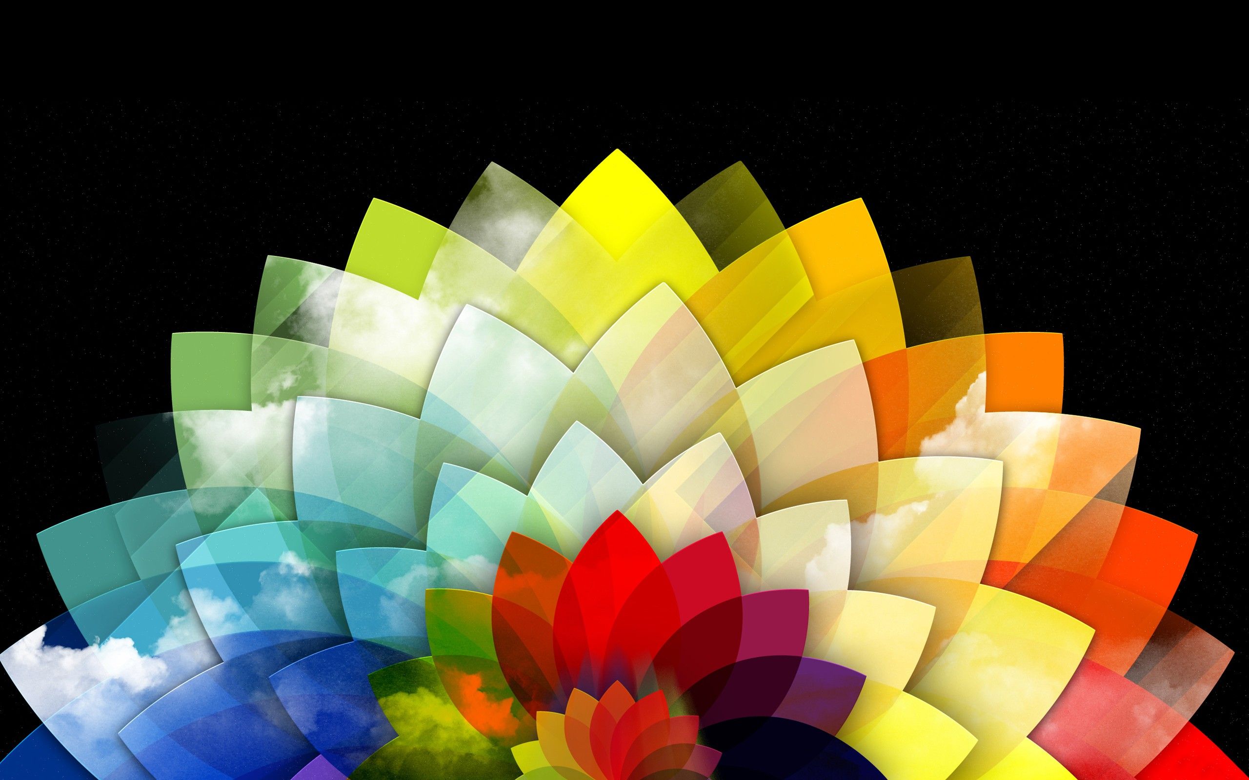 Vivid Colors Wallpapers Wallpaper Cave