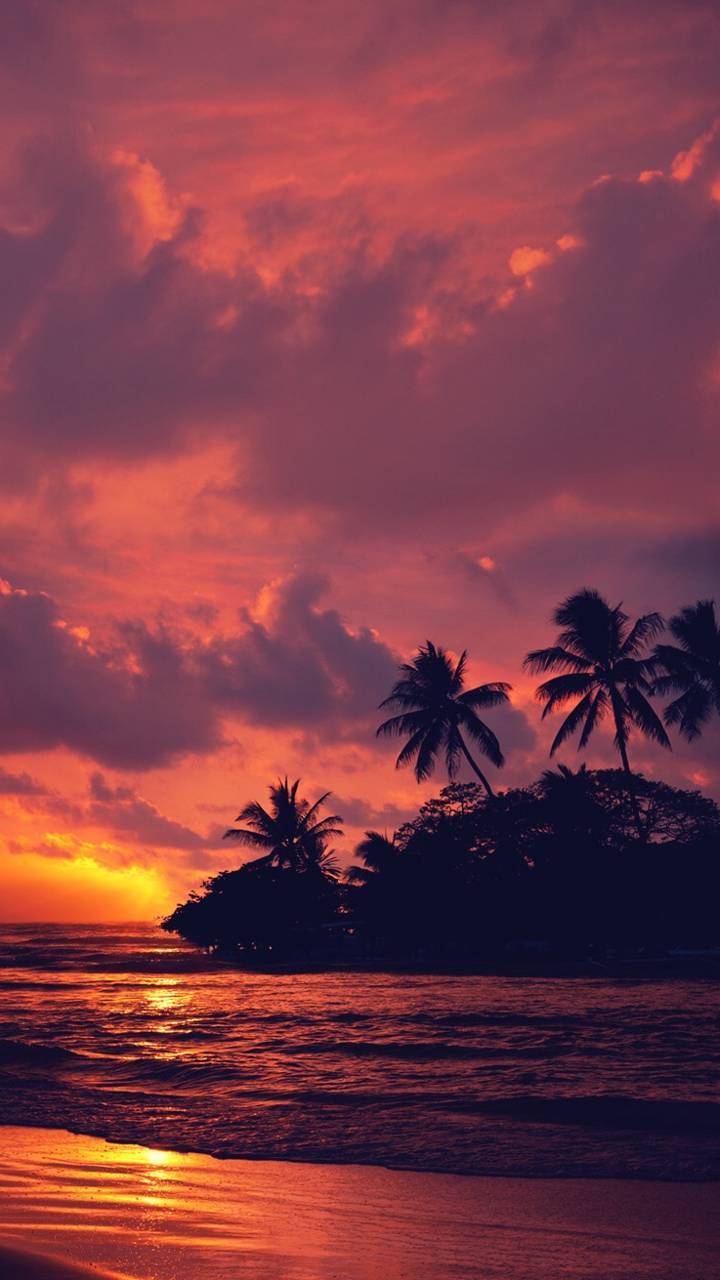 Sunset Paradise wallpaper