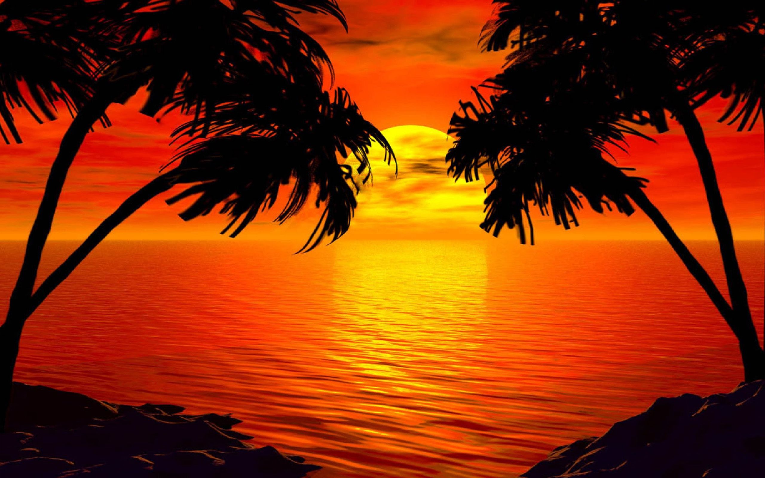 Paradise Sunset Tropical Island Palm Sea Red Sky HD Wallpaper