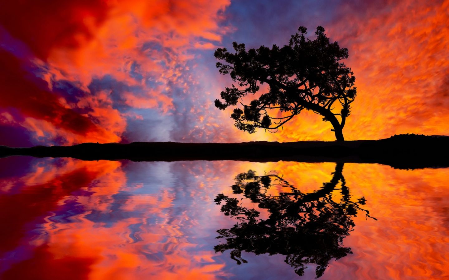 Colorful Sunset Sky And Tree Wallpaper