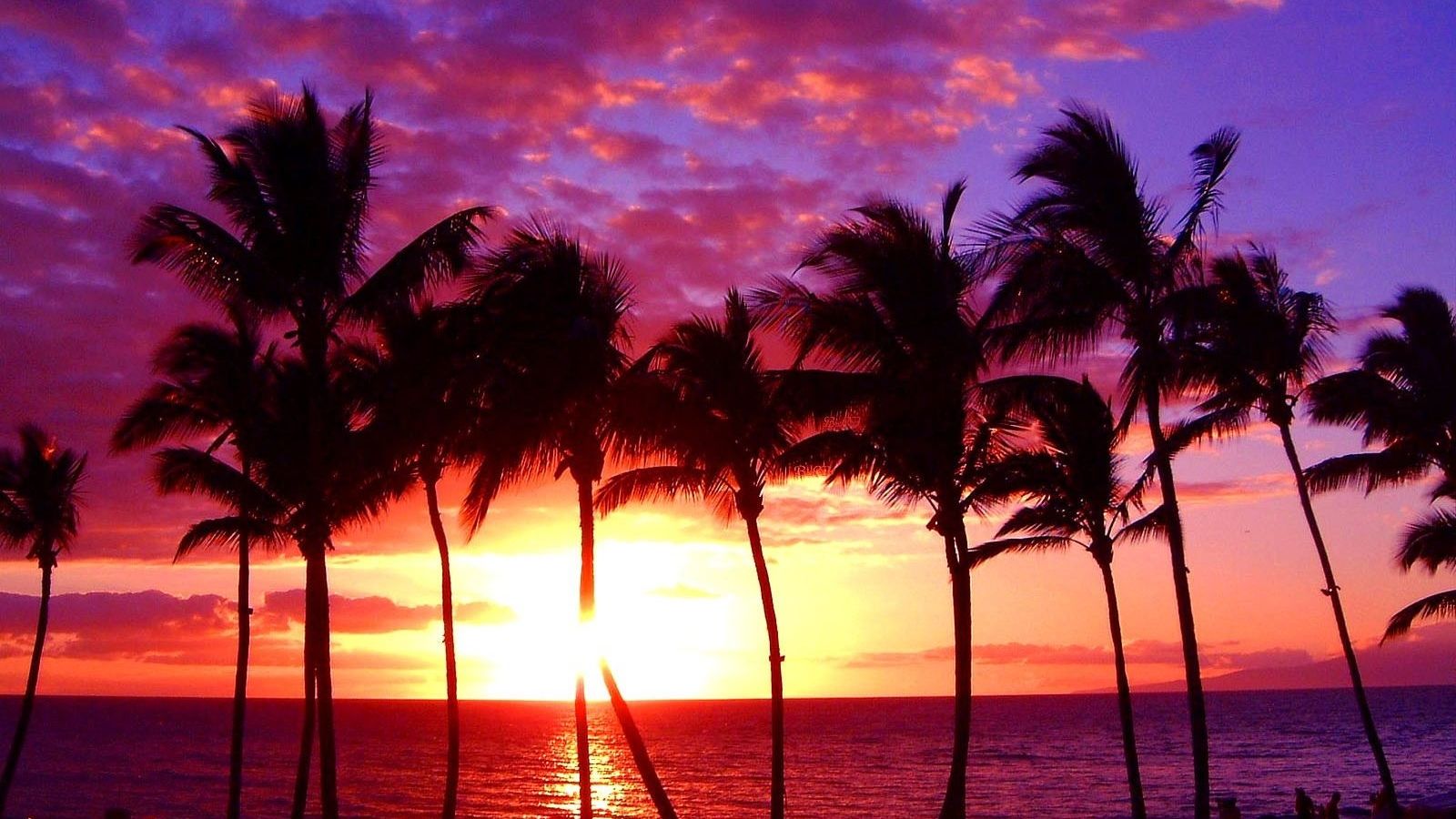 Free download Beach Maui Hawaii Sunset Ocean Tropical Paradise