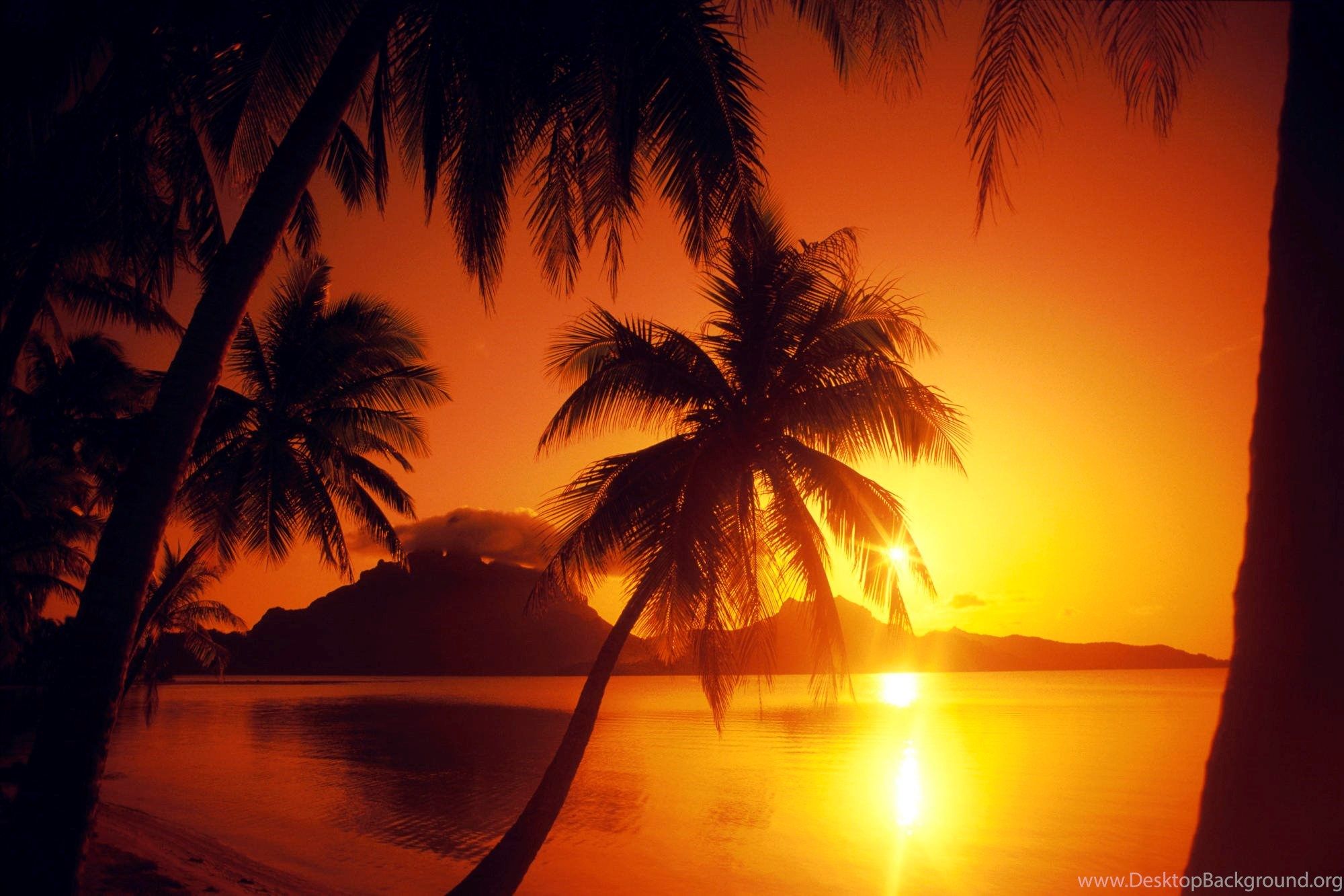 Beautiful Sunset Wallpaper Tropical Paradise Background Desktop