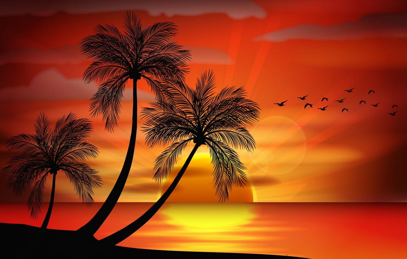 Wallpaper sea, sunset, palm trees, vector, island, silhouette, sea