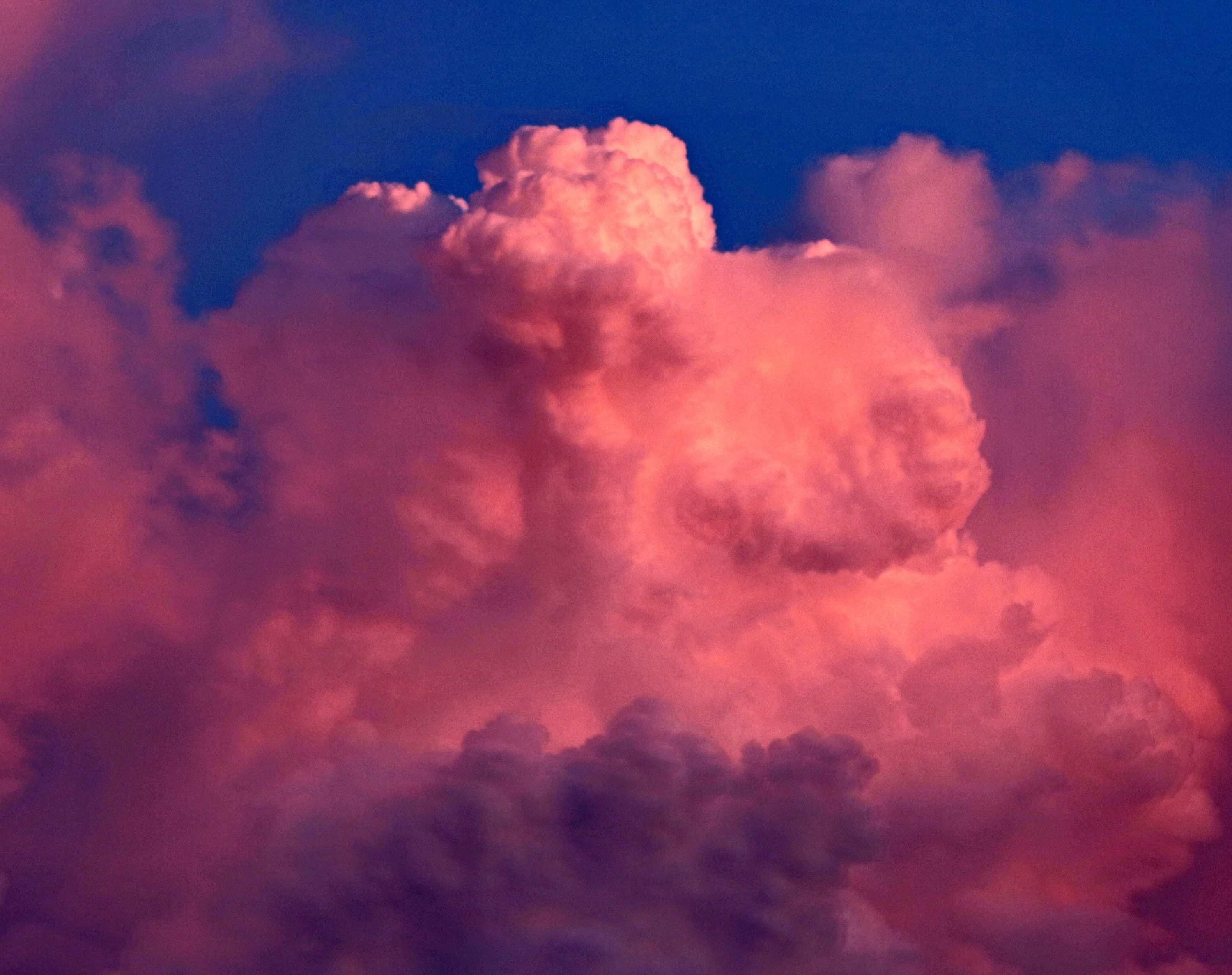 Pink Clouds · Free