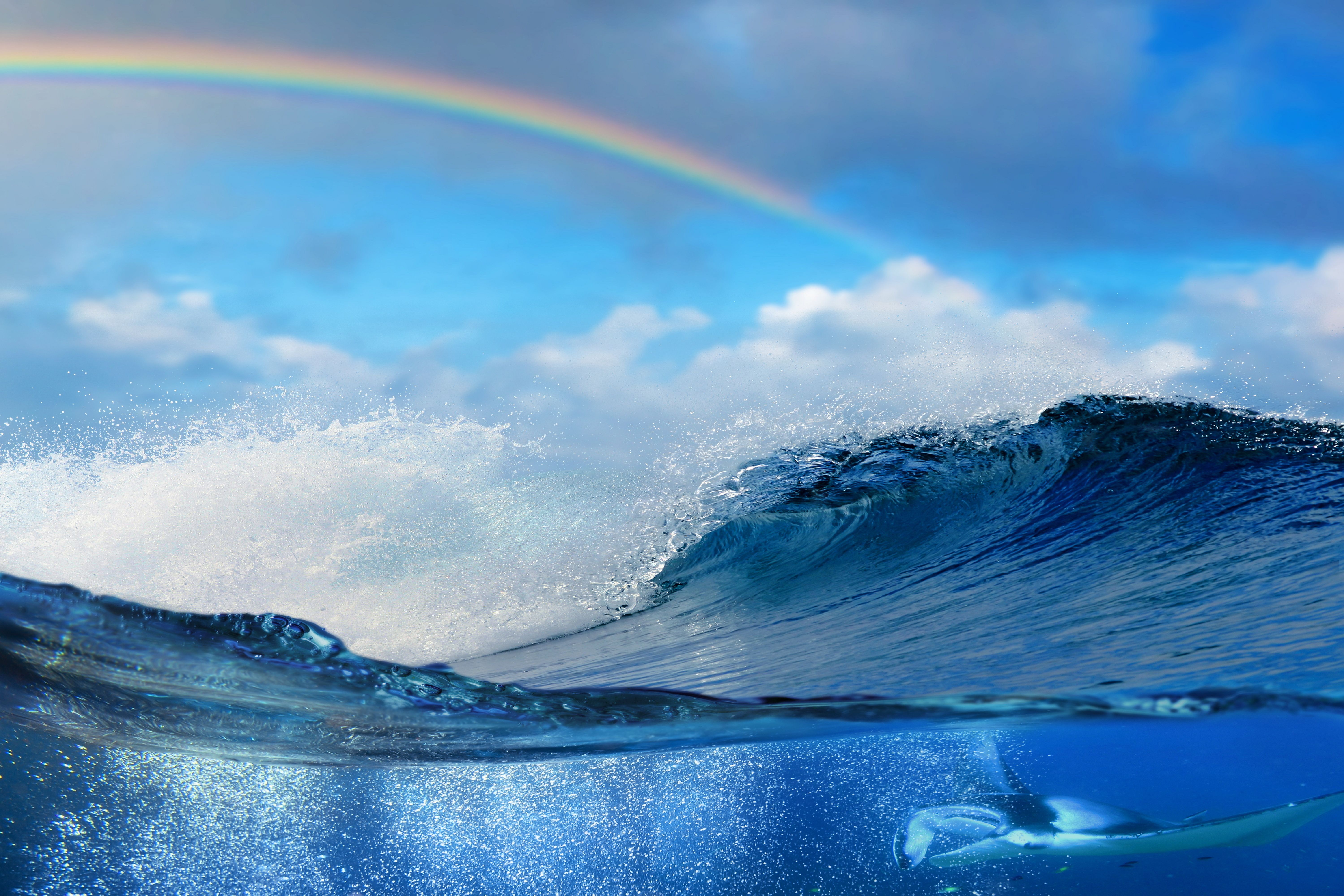 Ocean Wave 5k Retina Ultra HD Wallpaper. Background Image
