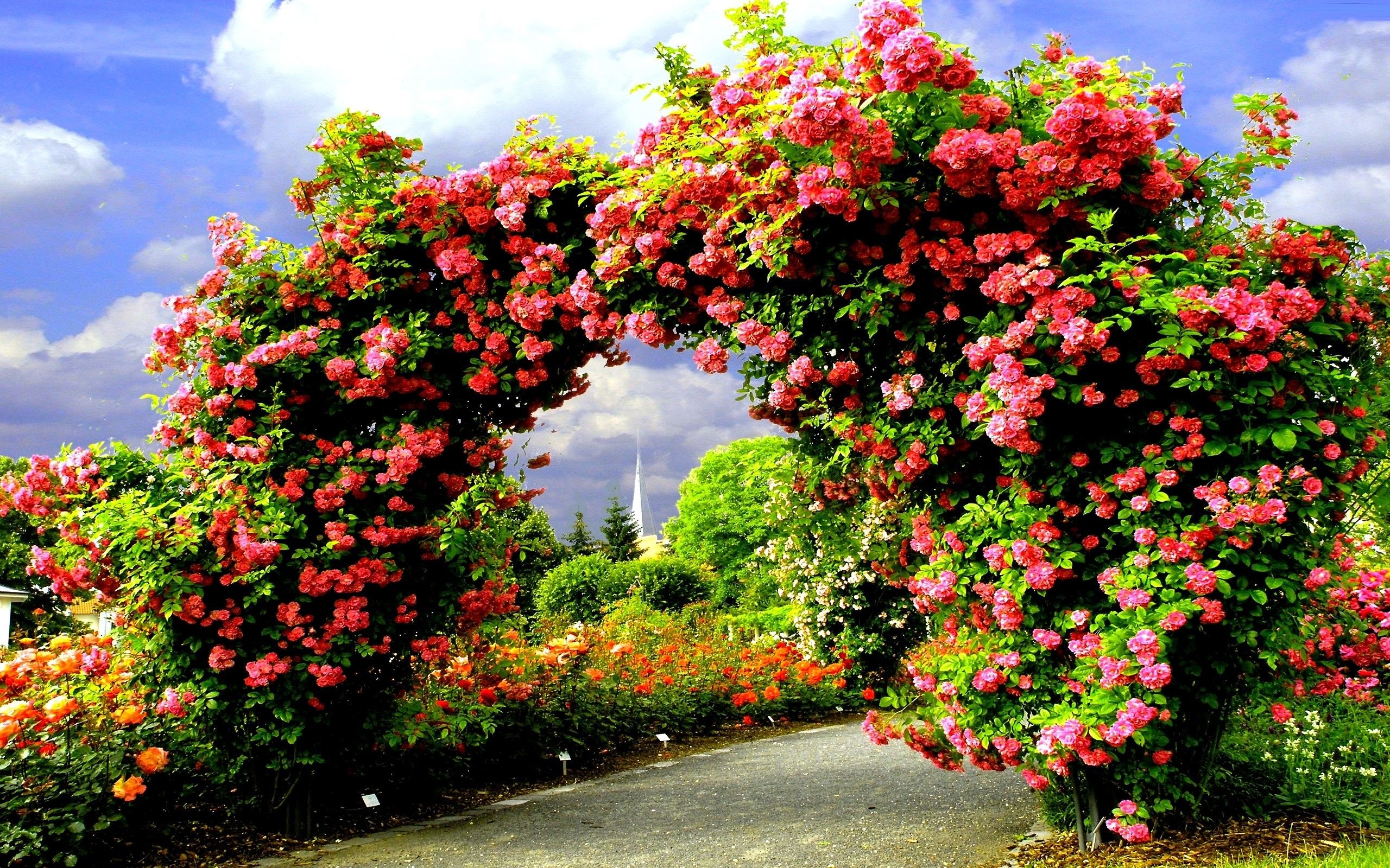 Arch of Roses HD Wallpaper