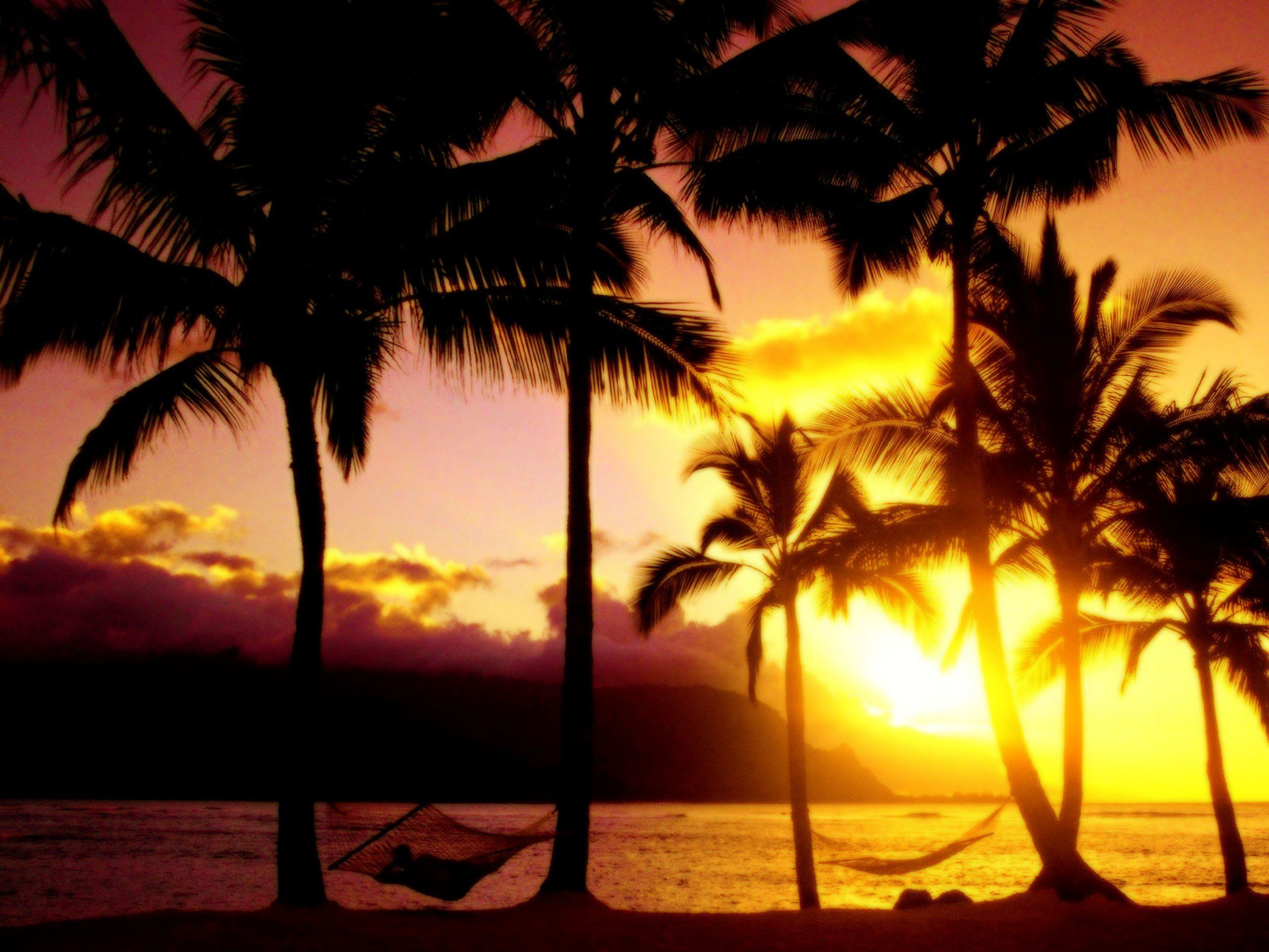 Sunset landscapes Hawaii paradise kauai afternoon beaches