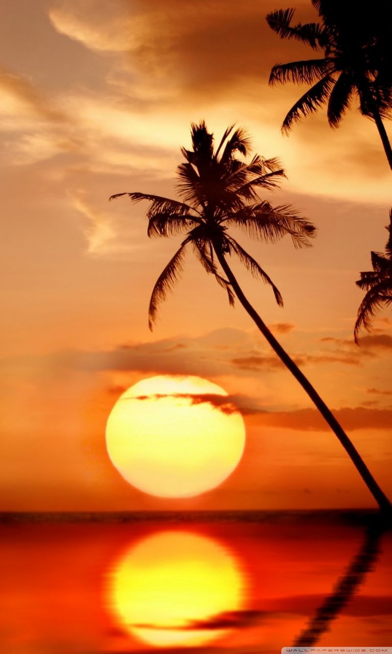 Sunset In Tropical Paradise Ultra HD Desktop Background Wallpaper