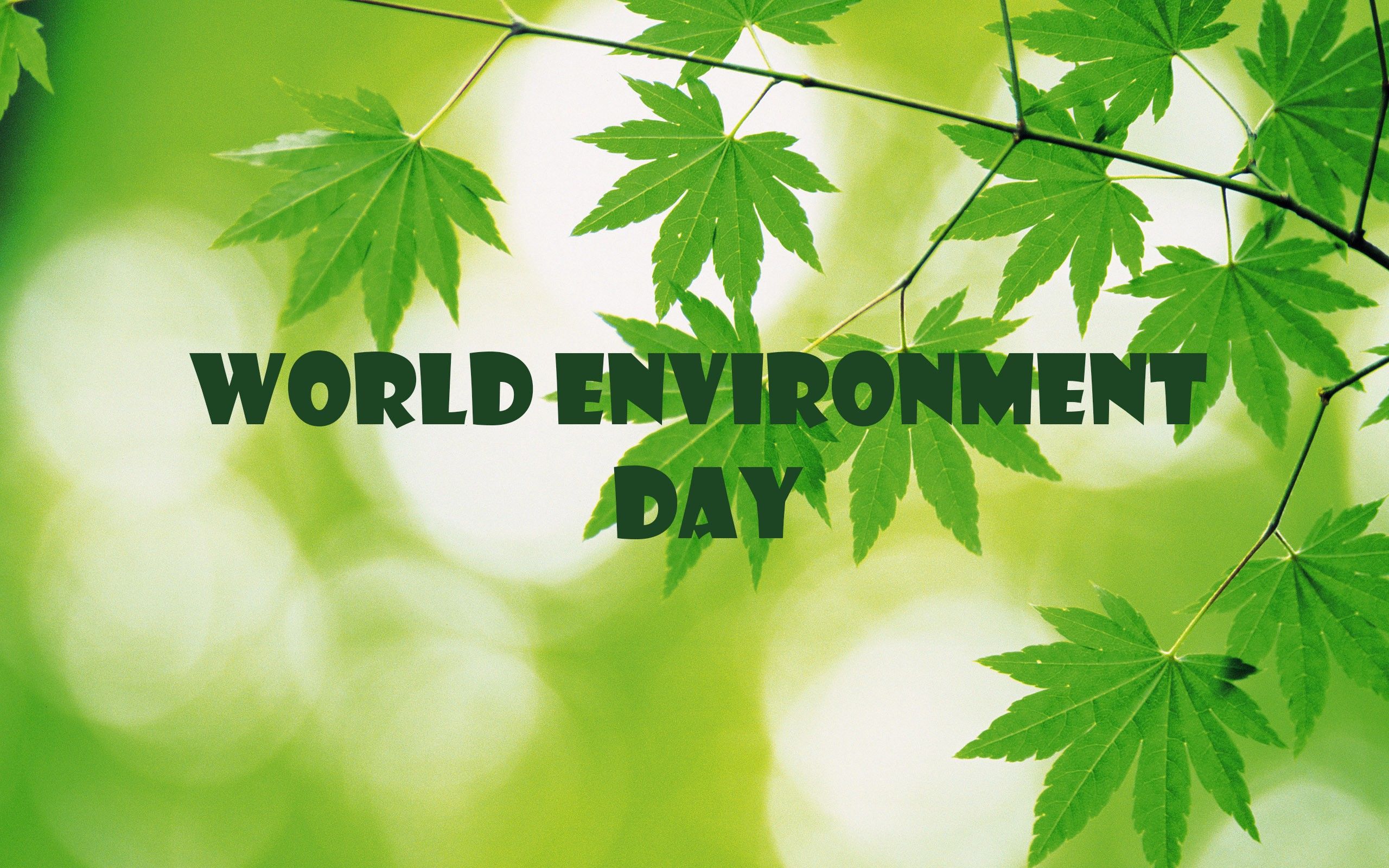 Environment Day. National Environment Day