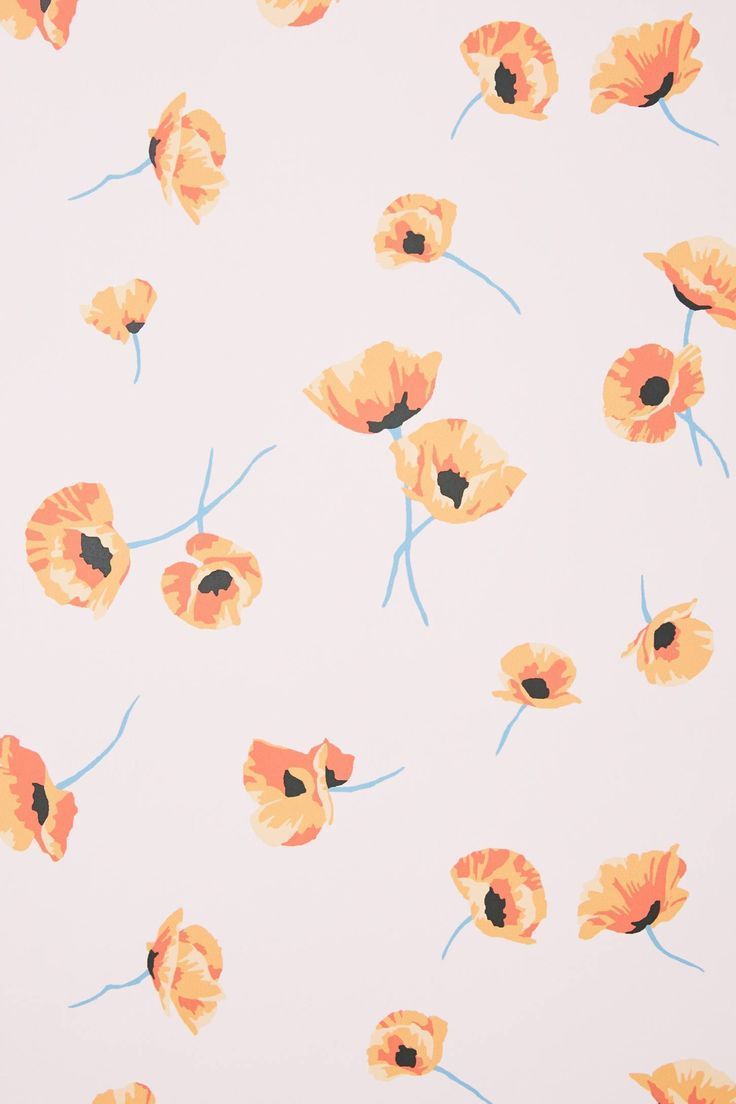 Poppy Wallpaper. Poppy wallpaper, iPhone background