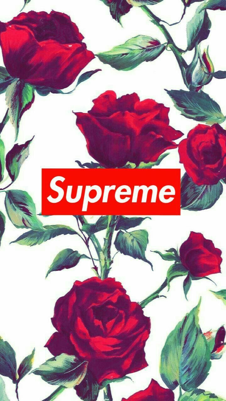 Supreme Rose Wallpaper Pc