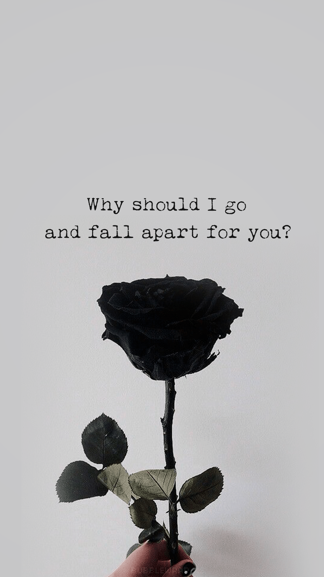 Black Rose Aesthetic Wallpaper Free Black Rose Aesthetic