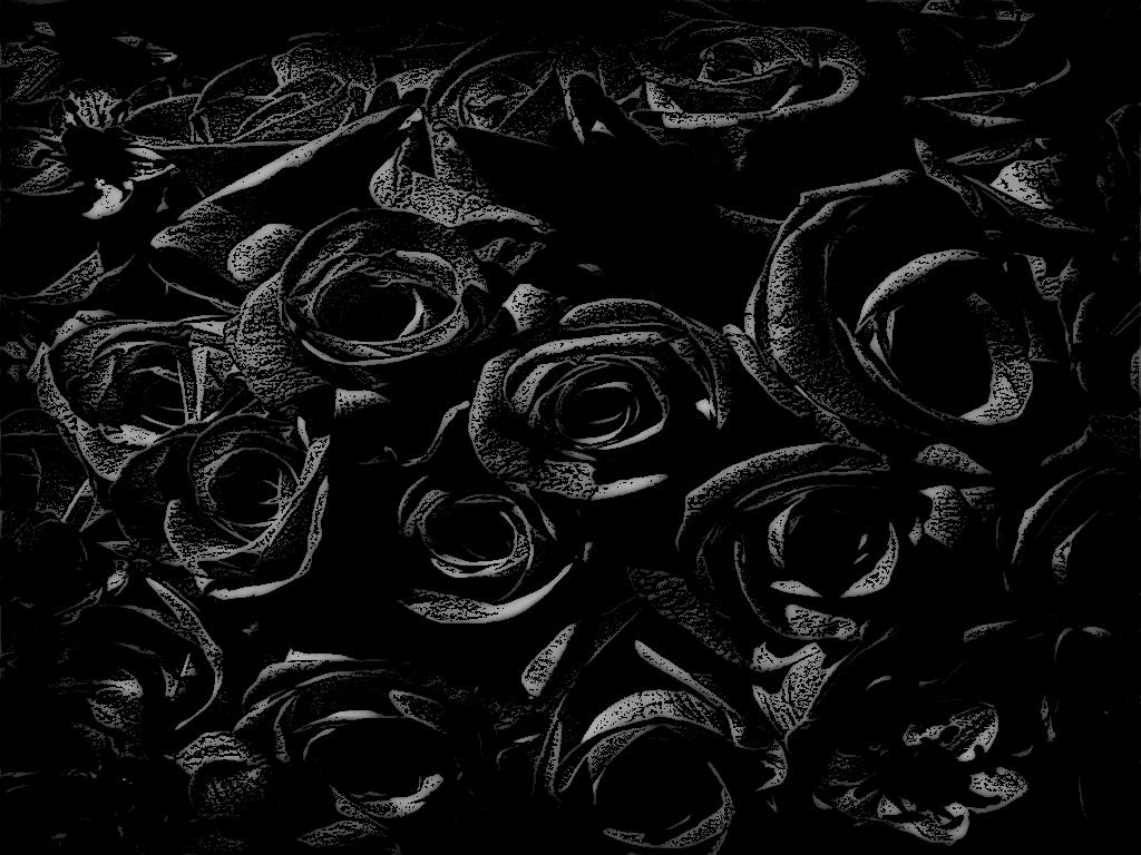 Black Roses Background