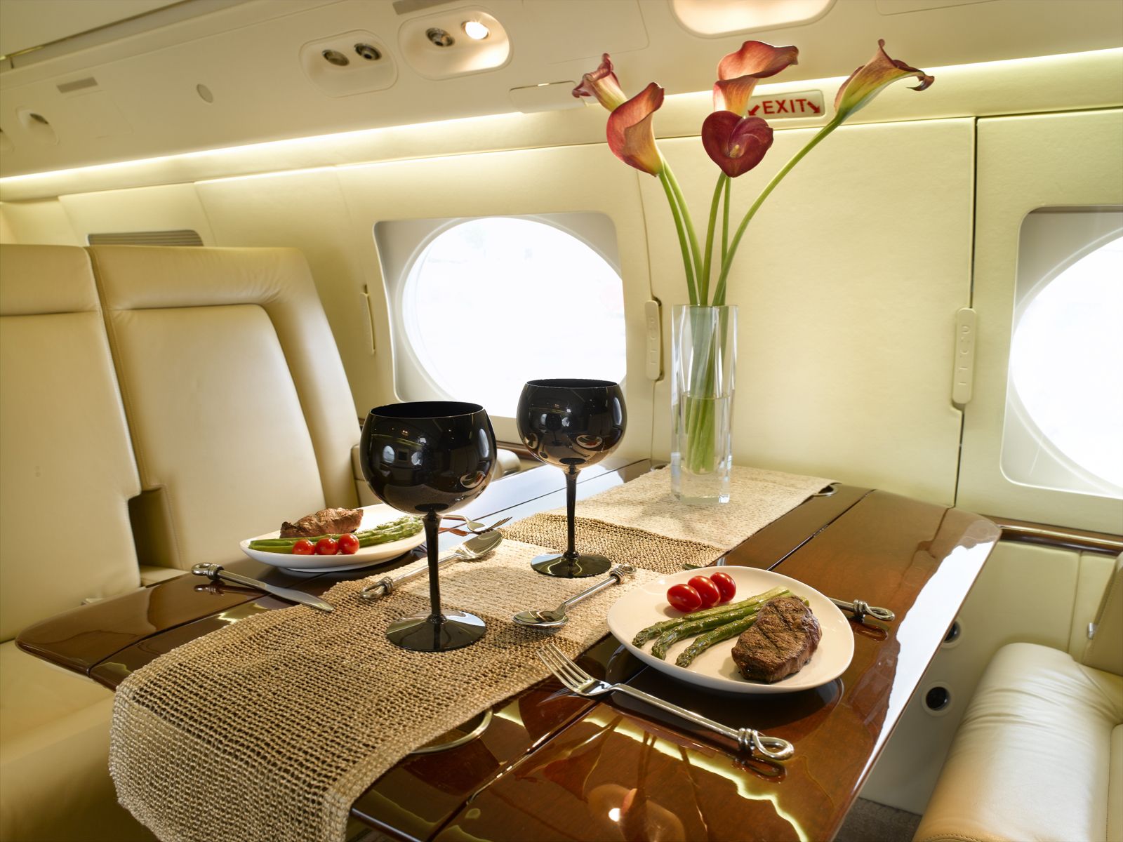 Celebrity Private Jets. Windsor Jet Management