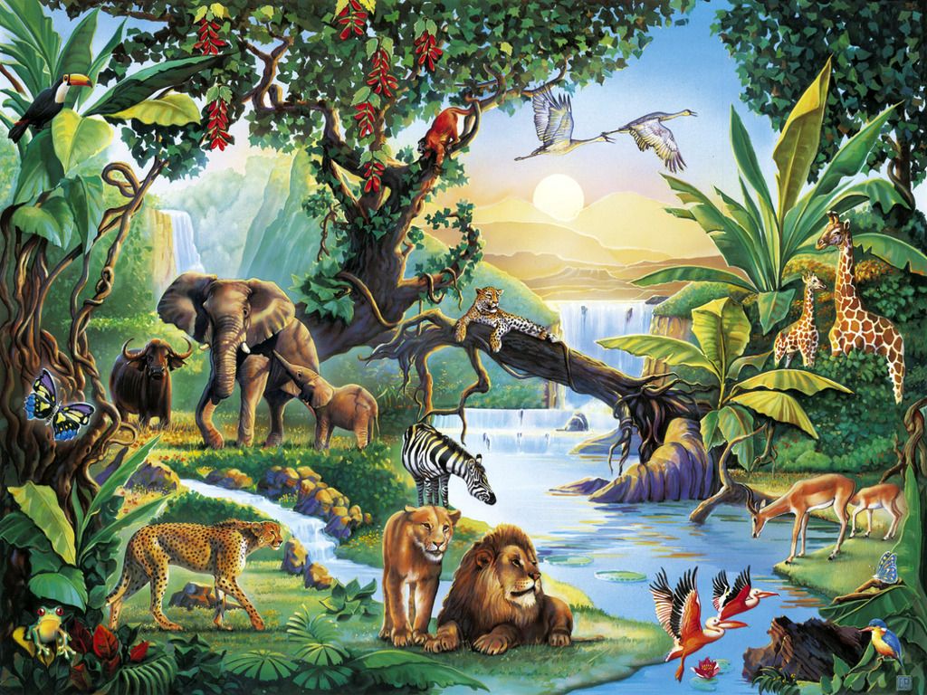 Safari Wallpaper for Computer