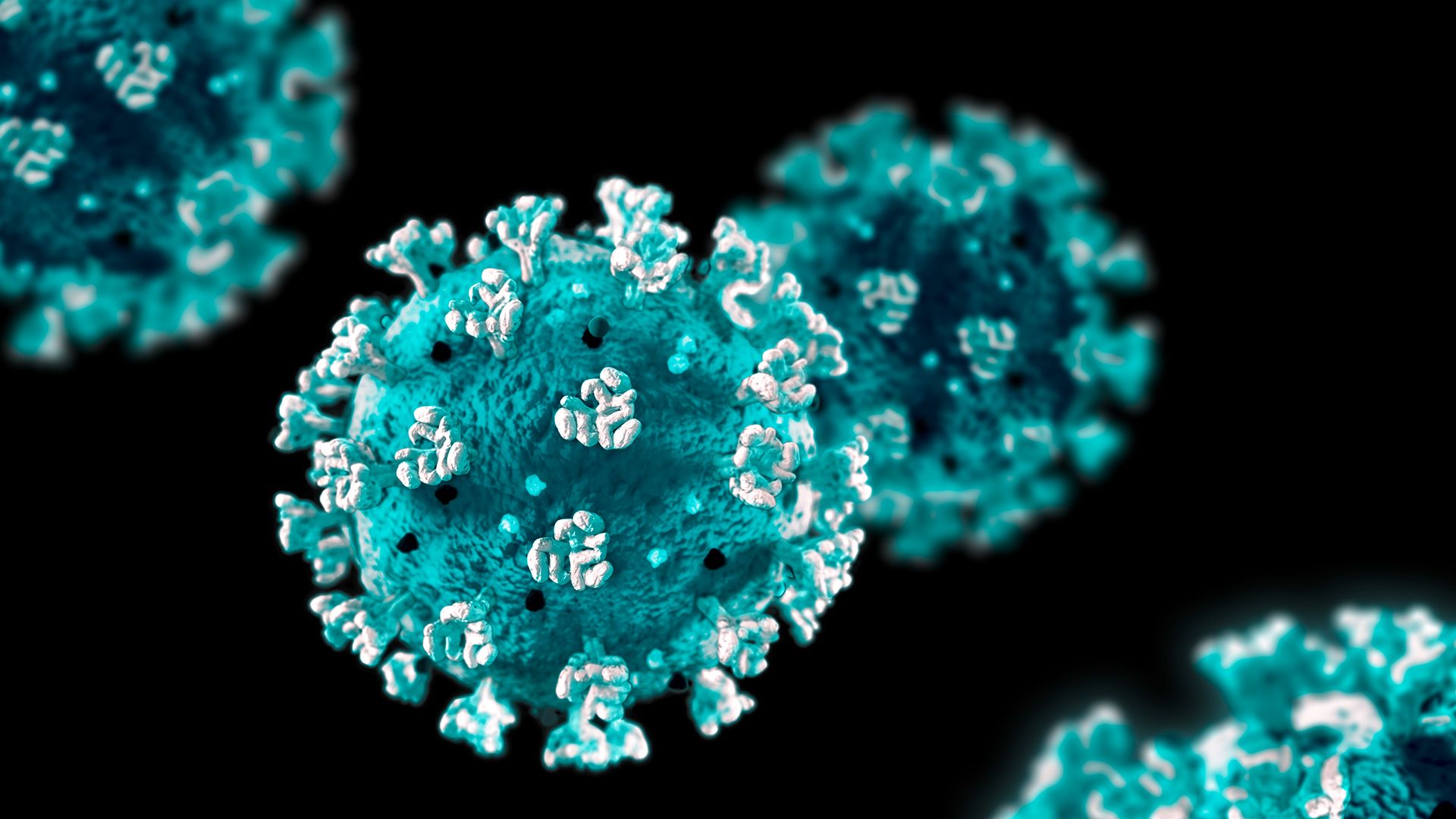 Отсутствие коронавируса. Вирус Covid-19. Вирус ковид 19. Вирус Covid 19 под микроскопом. Коронавирус молекула.