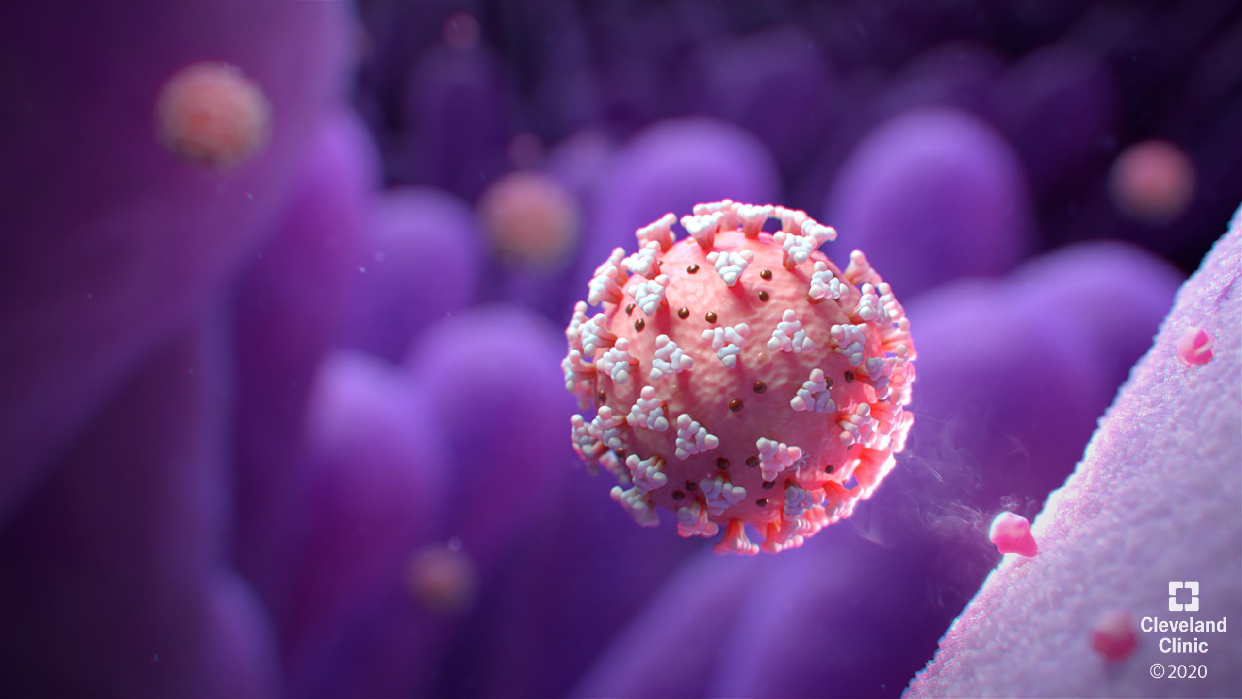 What We're Learning About COVID 19