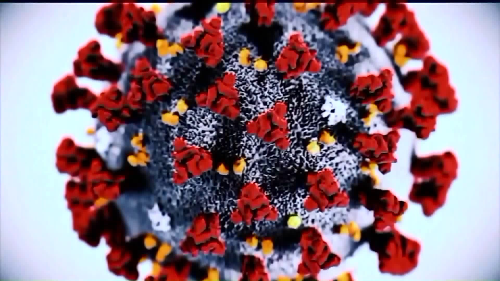 Hand Dryers To Garlic: 8 COVID 19 Myths Debunked