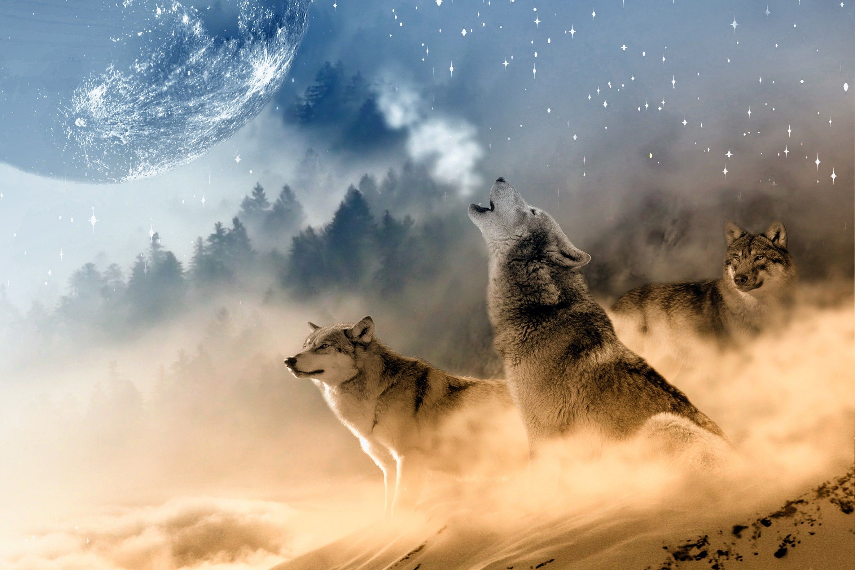 Wolves Howling Wallpaper