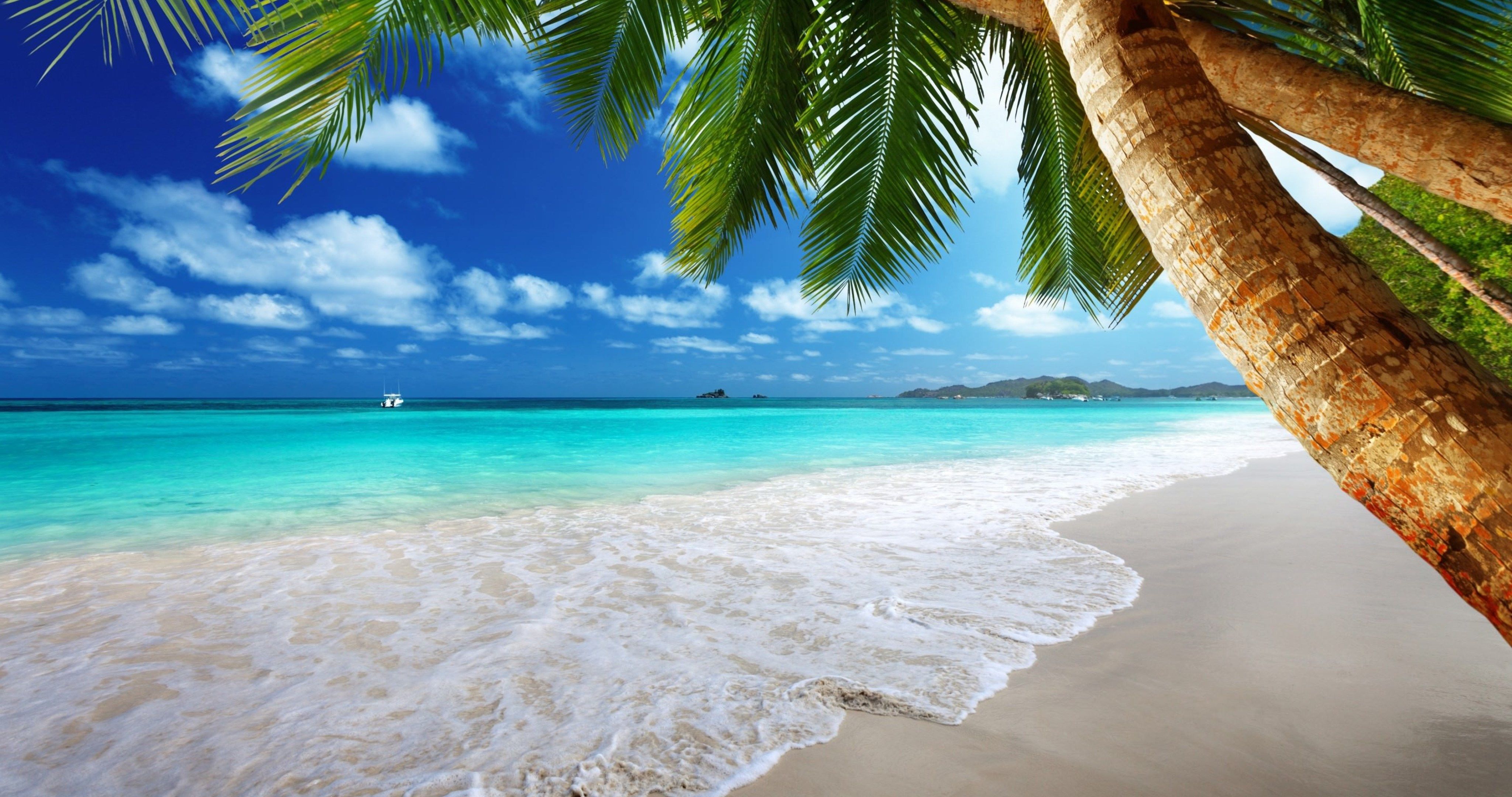 tropical paradise on beach 4k ultra HD wallpaper High quality walls