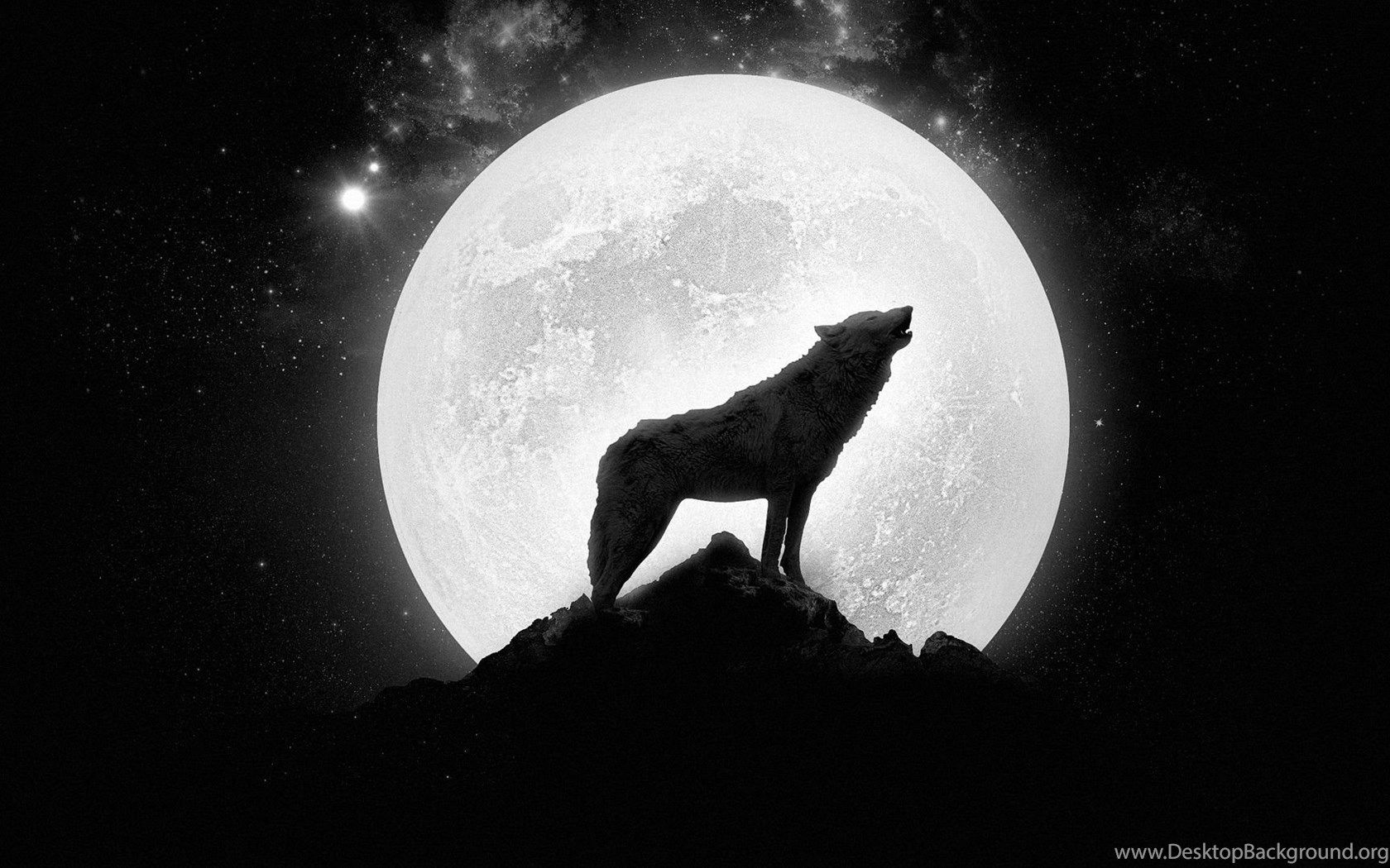 Wolf Howling Wallpaper. Desktop Background