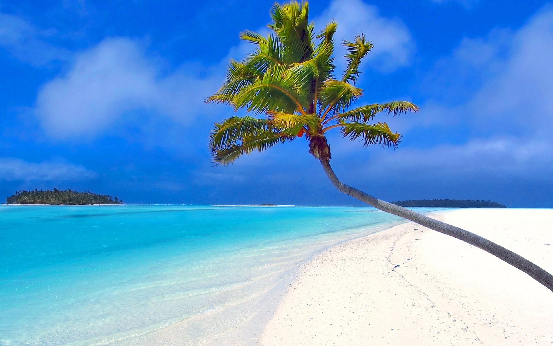 Paradise Beach HD Wallpaper 08917