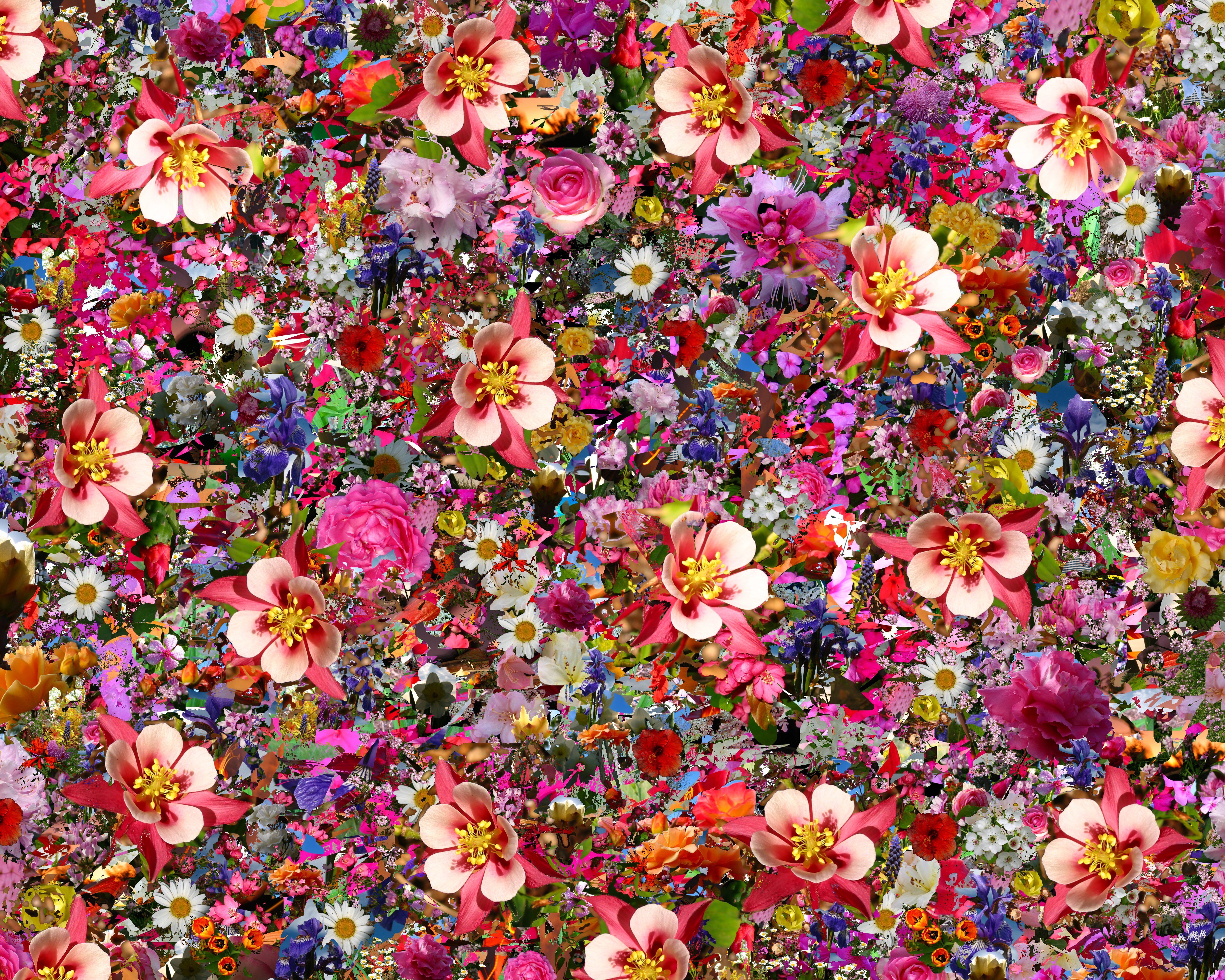 Psychedelic flower g wallpaperx4000