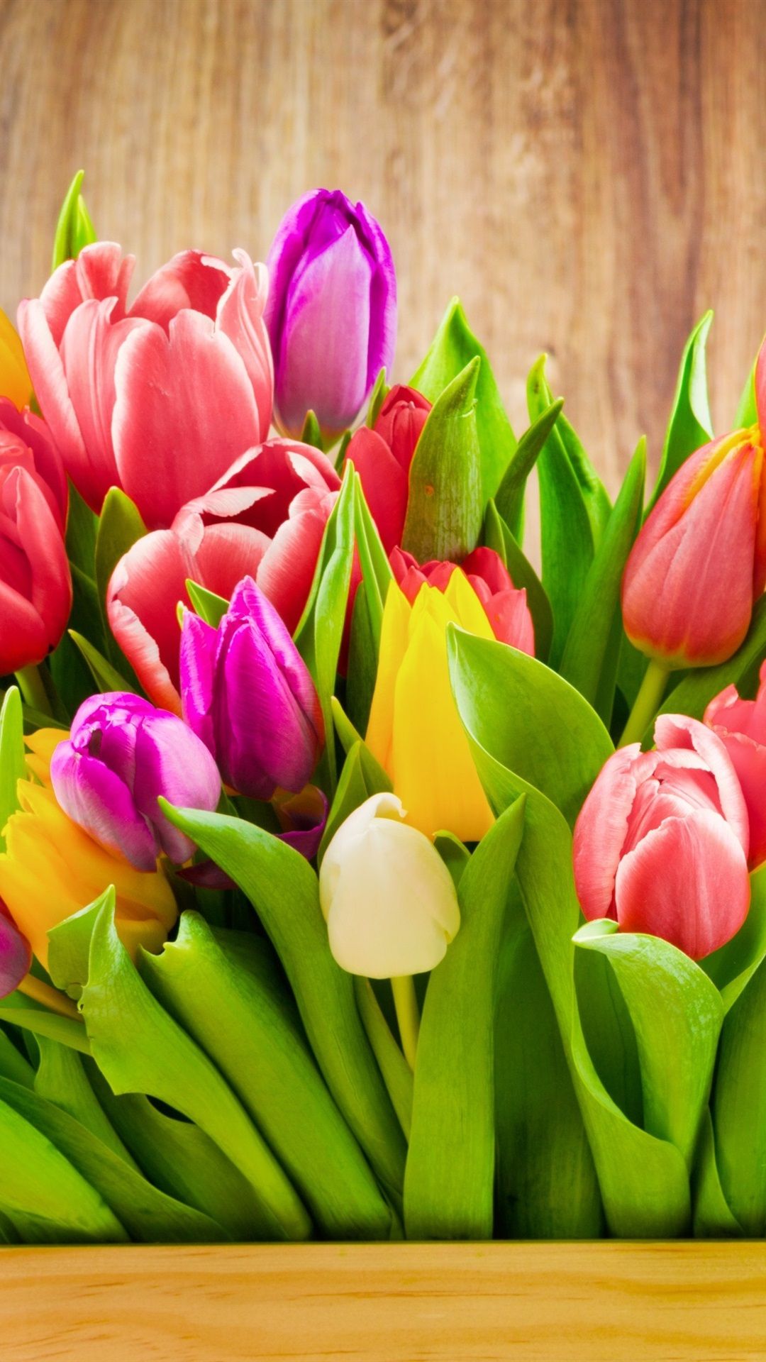 Many Colorful Tulips Flowers, Box 1080x1920 IPhone 8 7 6 6S Plus