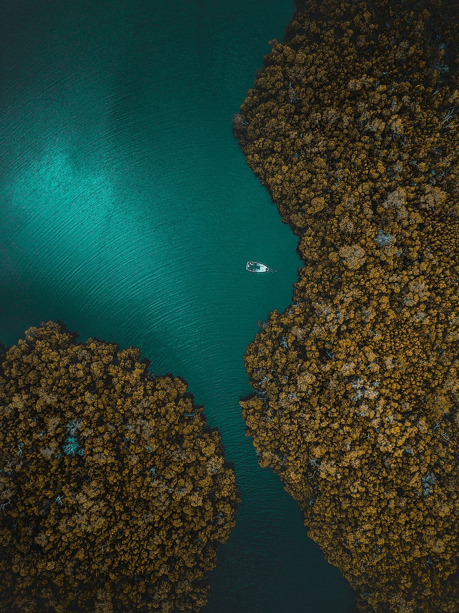 aerial, photography, white, boat, surrounding, trees, photo, lake