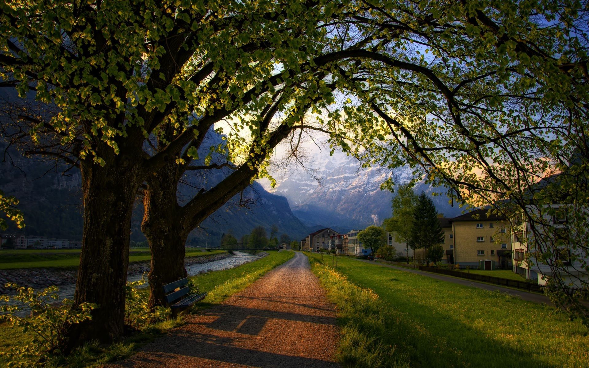 Evening bench trees road spring Switzerland