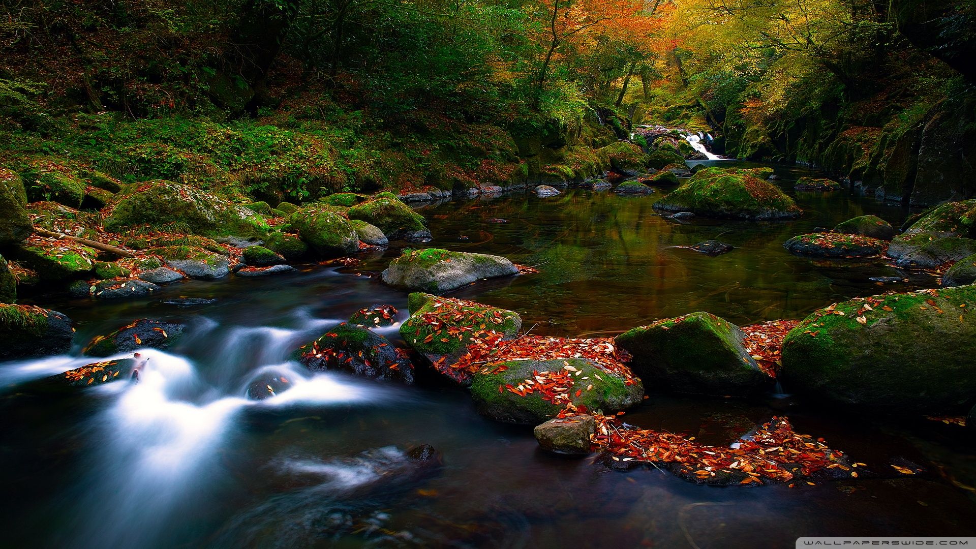 Download Autumn Forest River UltraHD Wallpaper