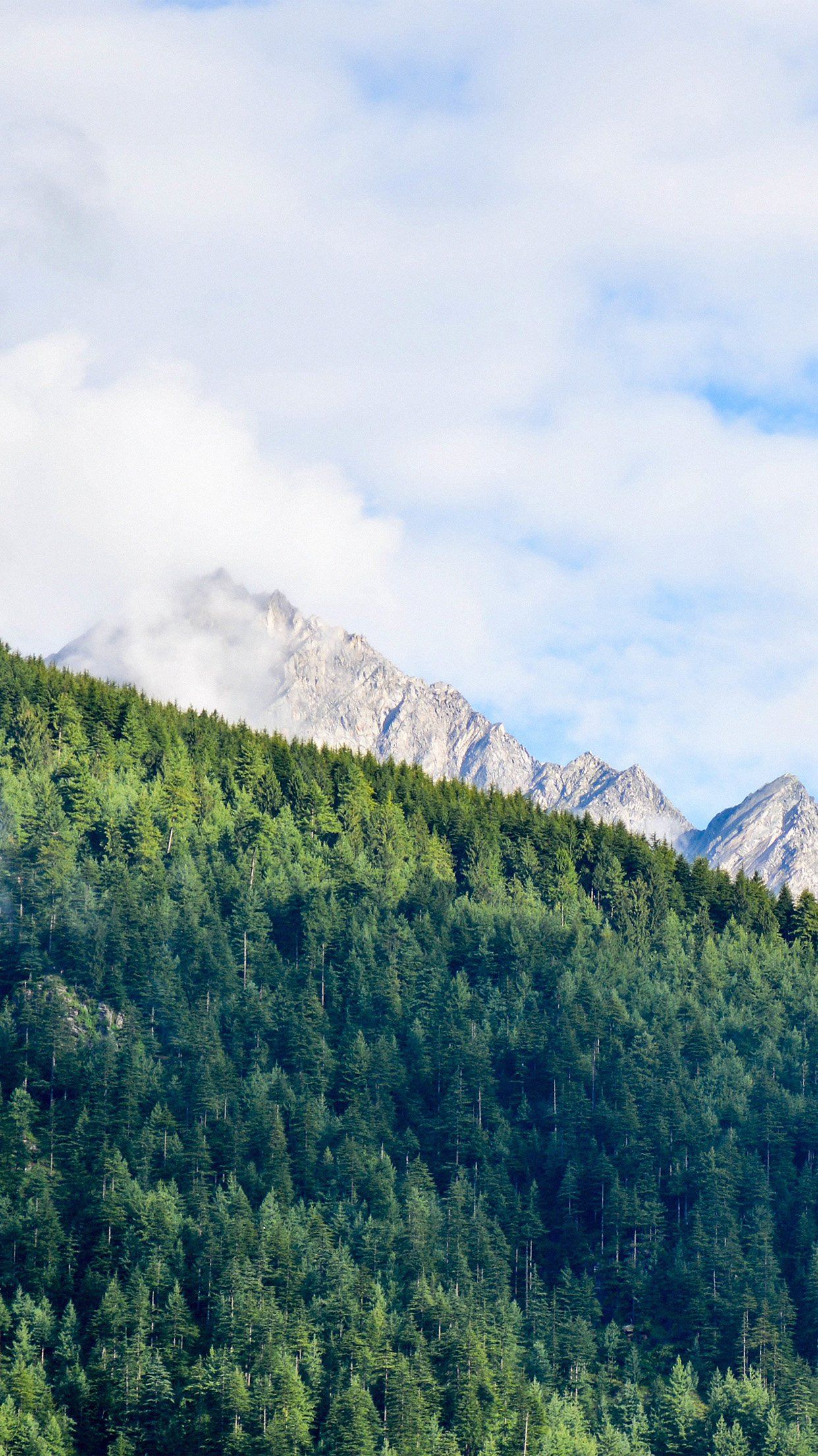 Wood Nature Mountain Blue Green Summer Android wallpaper