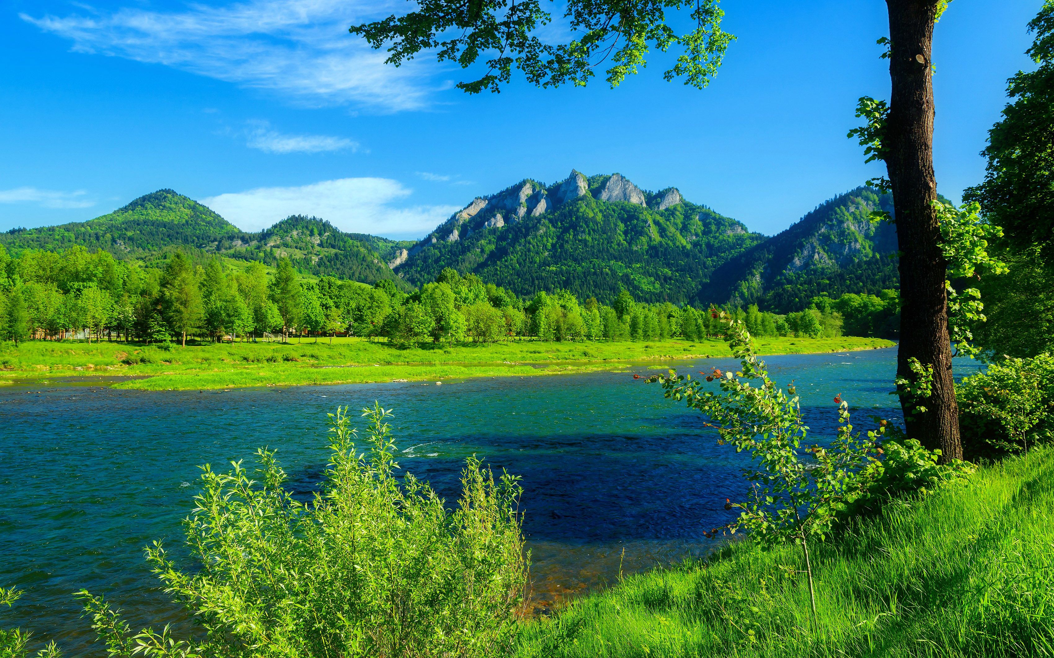 River Dunajec Poland Summer Landscape Mountains With Forest Green Grass, Blue Sky Desktop Wallpaper HD, Wallpaper13.com