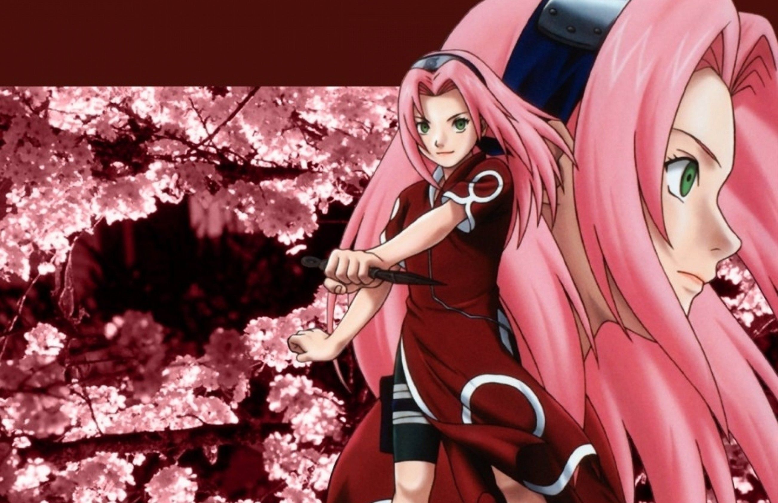 Sakura Shippuden Wallpaper