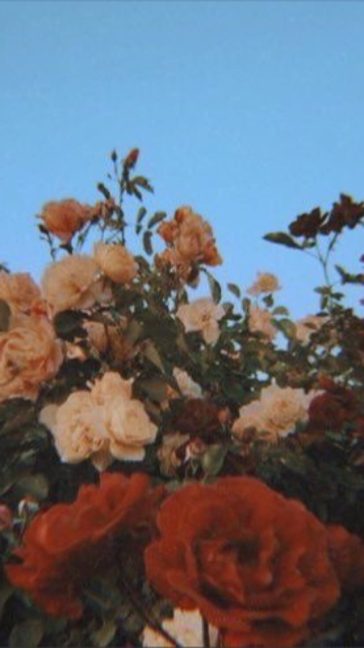 Flower aesthetic, Vintage flowers