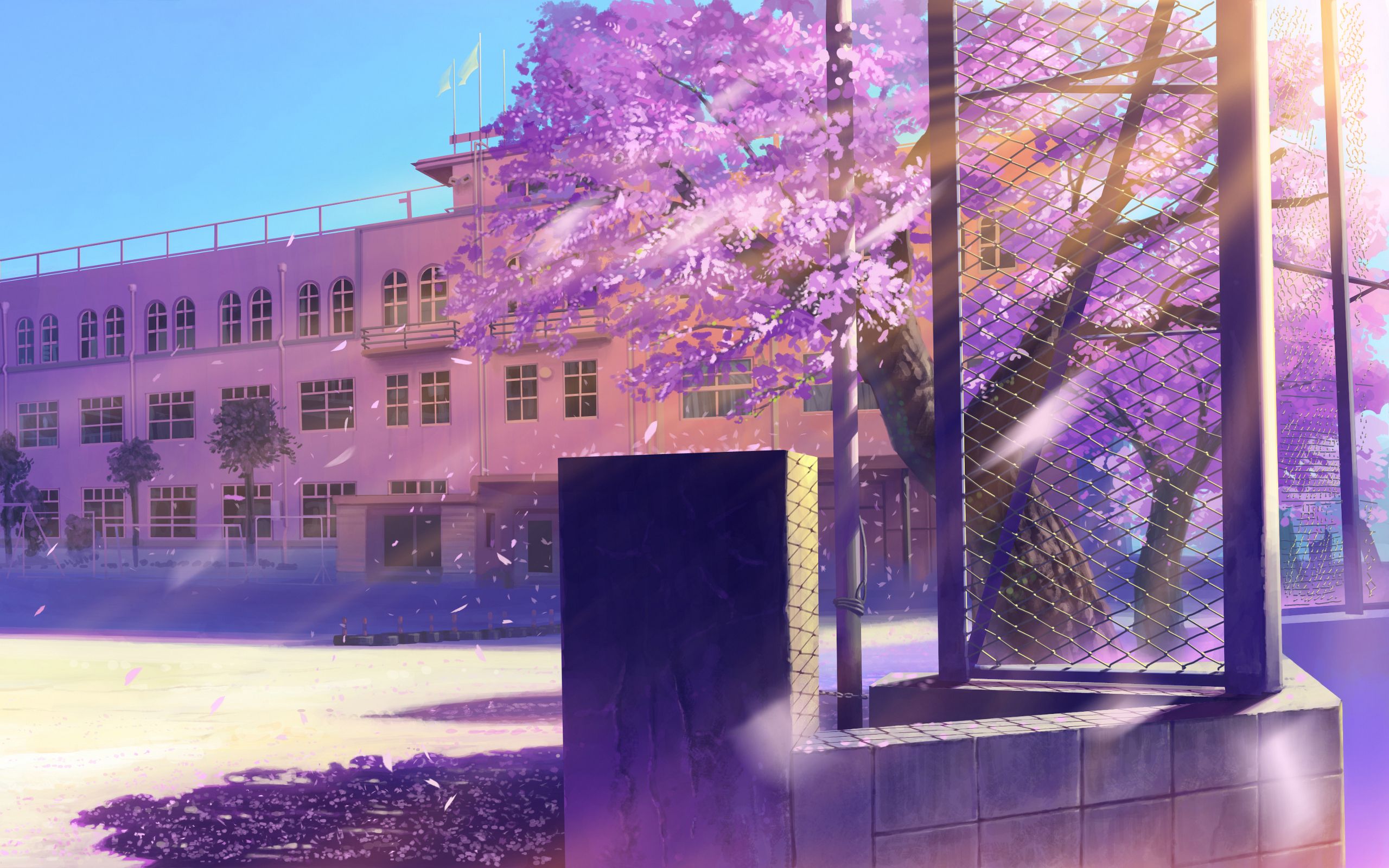 Photo Cherry blossom Anime Street Building 2560x1600