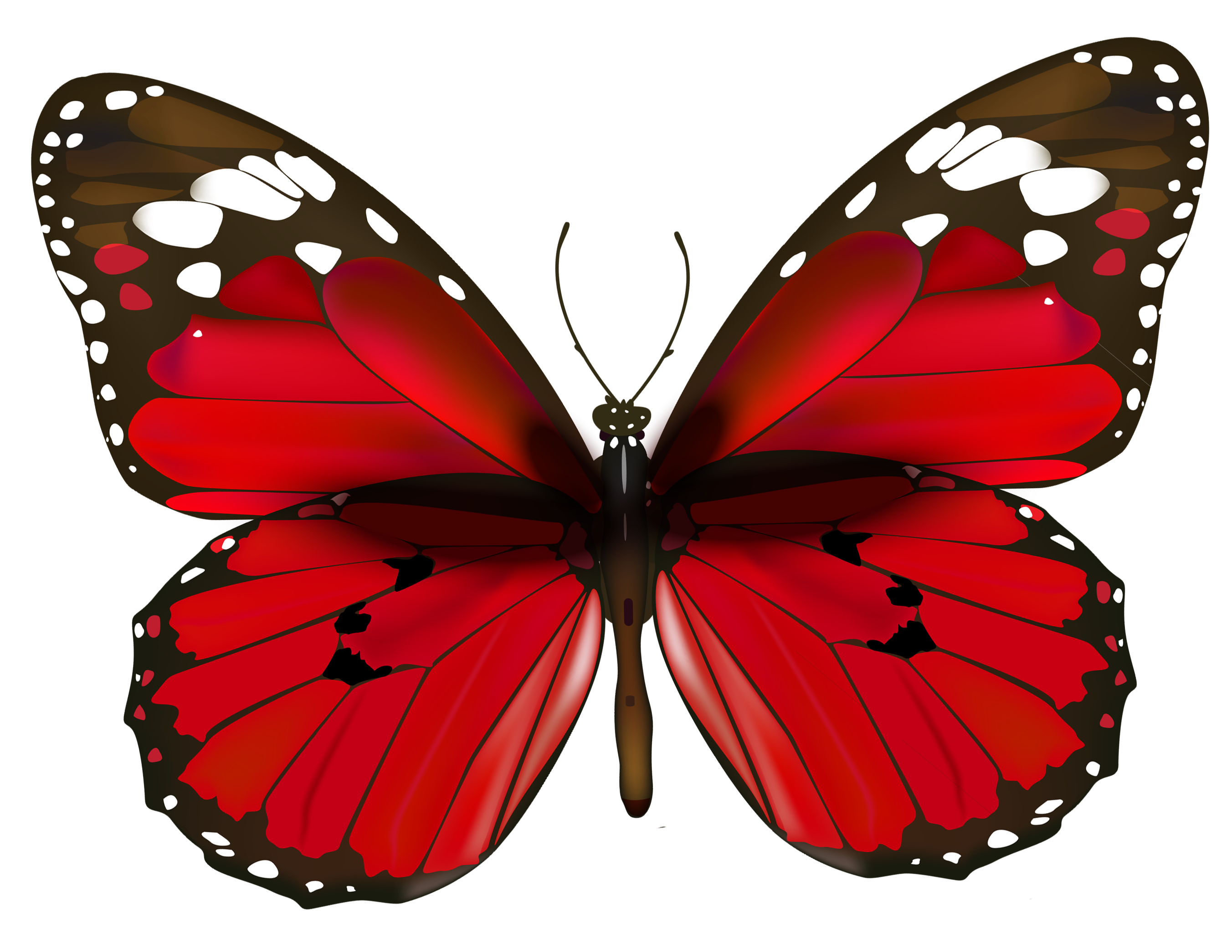 Monarch Butterfly Transparent Background