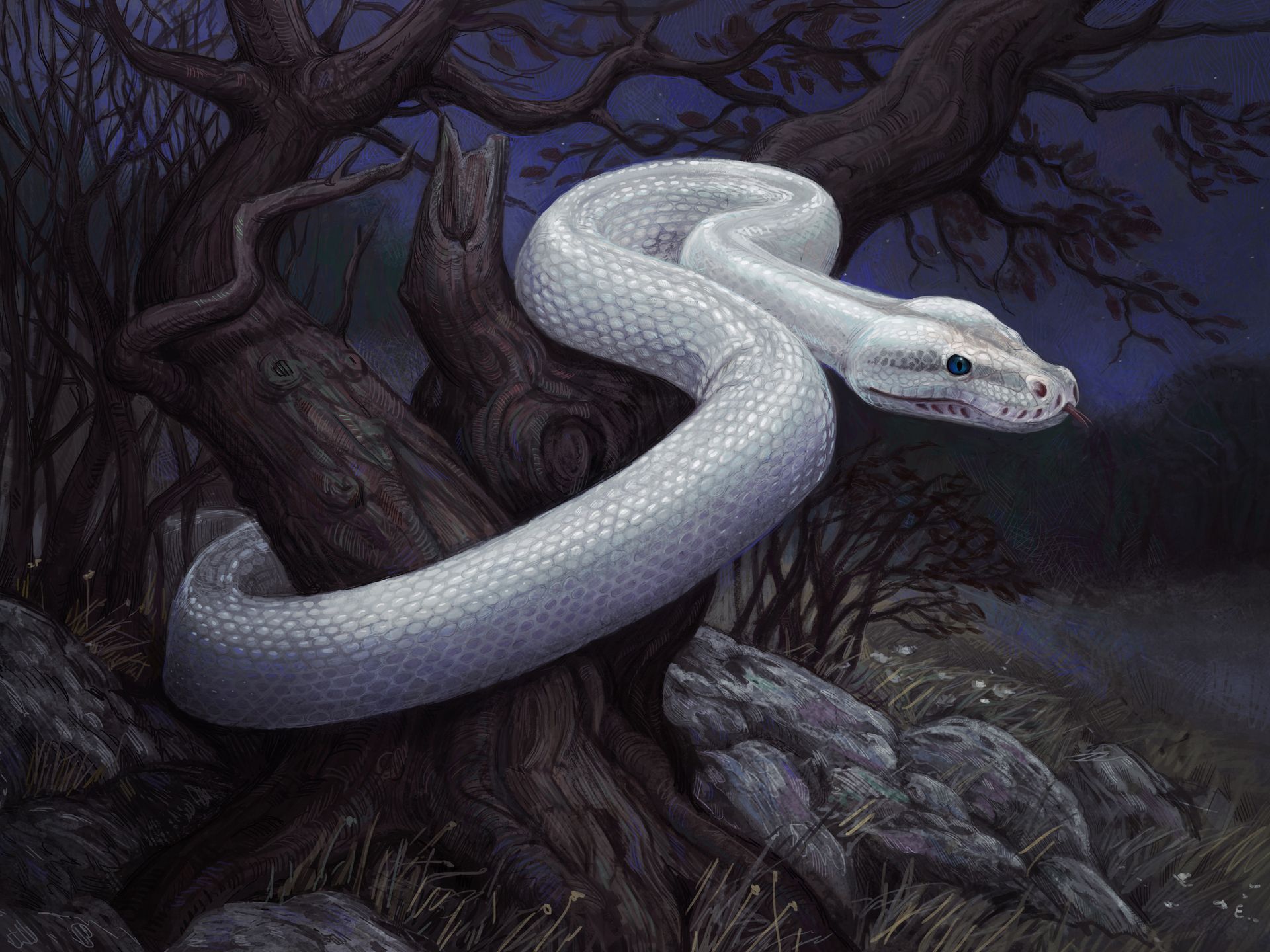 Fantasy snakes art artistic dark landscapes creepy wallpaper