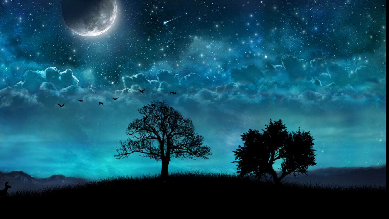 Free download this live wallpaper features a relaxing night scene