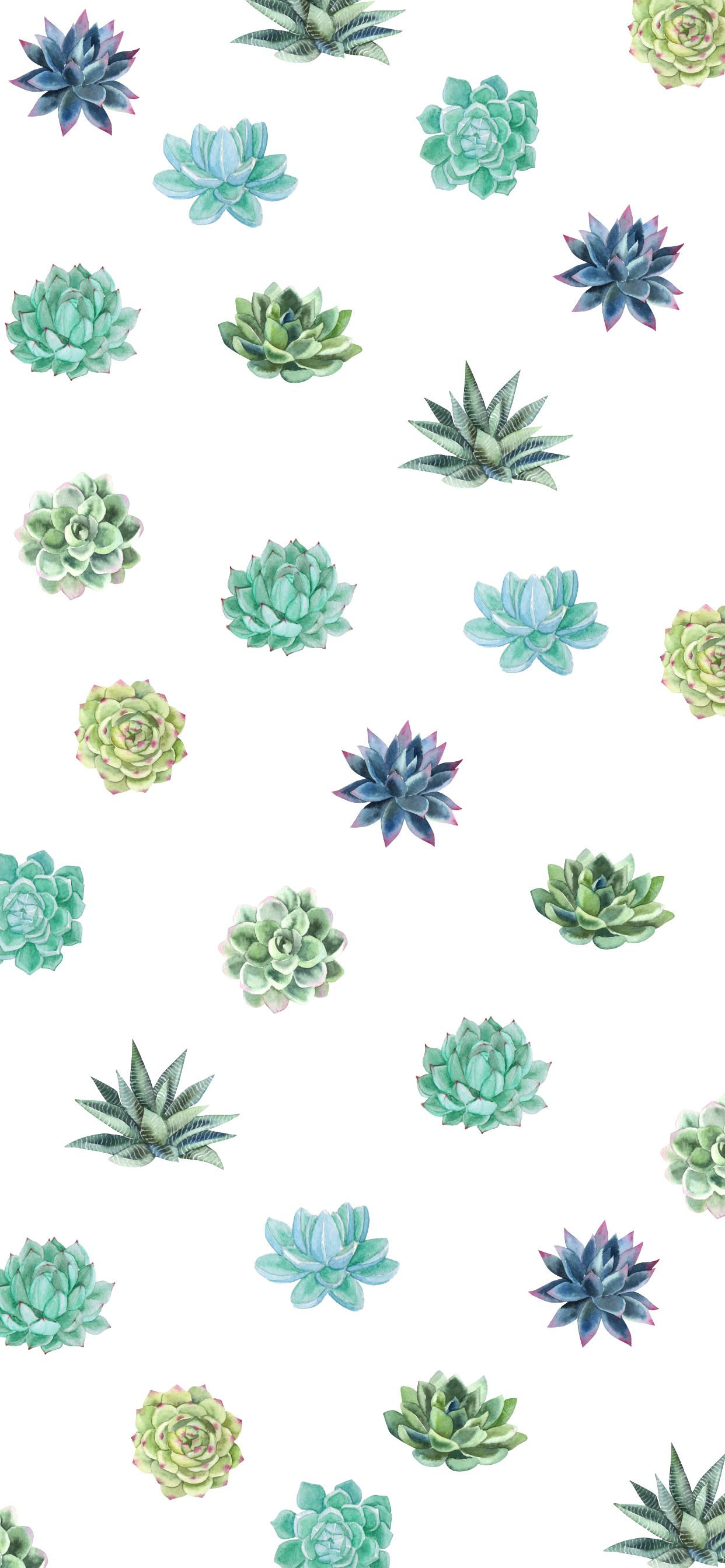Cute Summer iPhone Wallpaper Part 2. Succulents