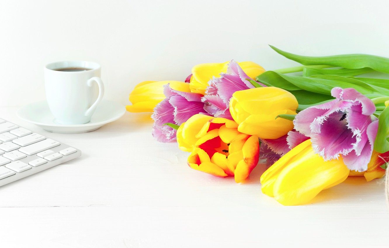 Wallpaper flowers, coffee, spring, colorful, tulips, fresh, wood