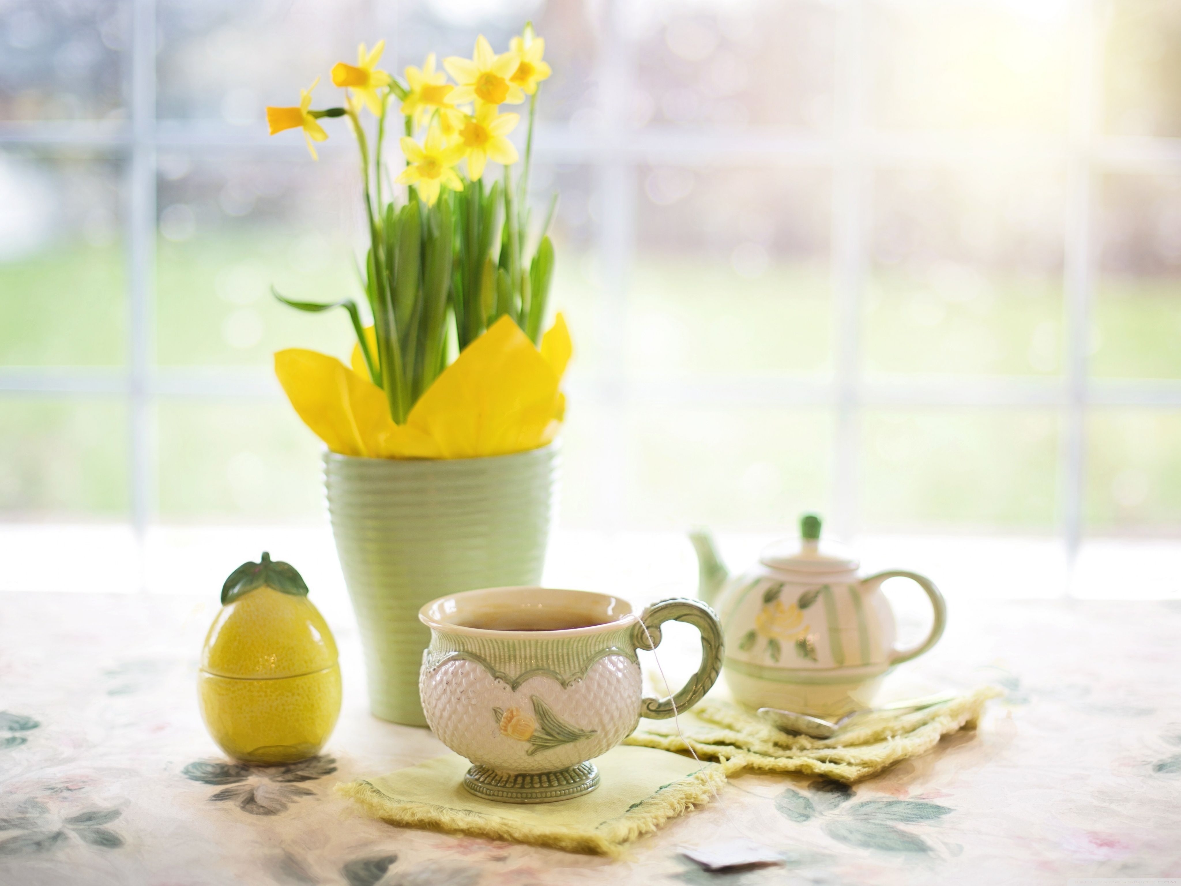 Cup of Tea, Daffodils Flowers, Spring Ultra HD Desktop Background