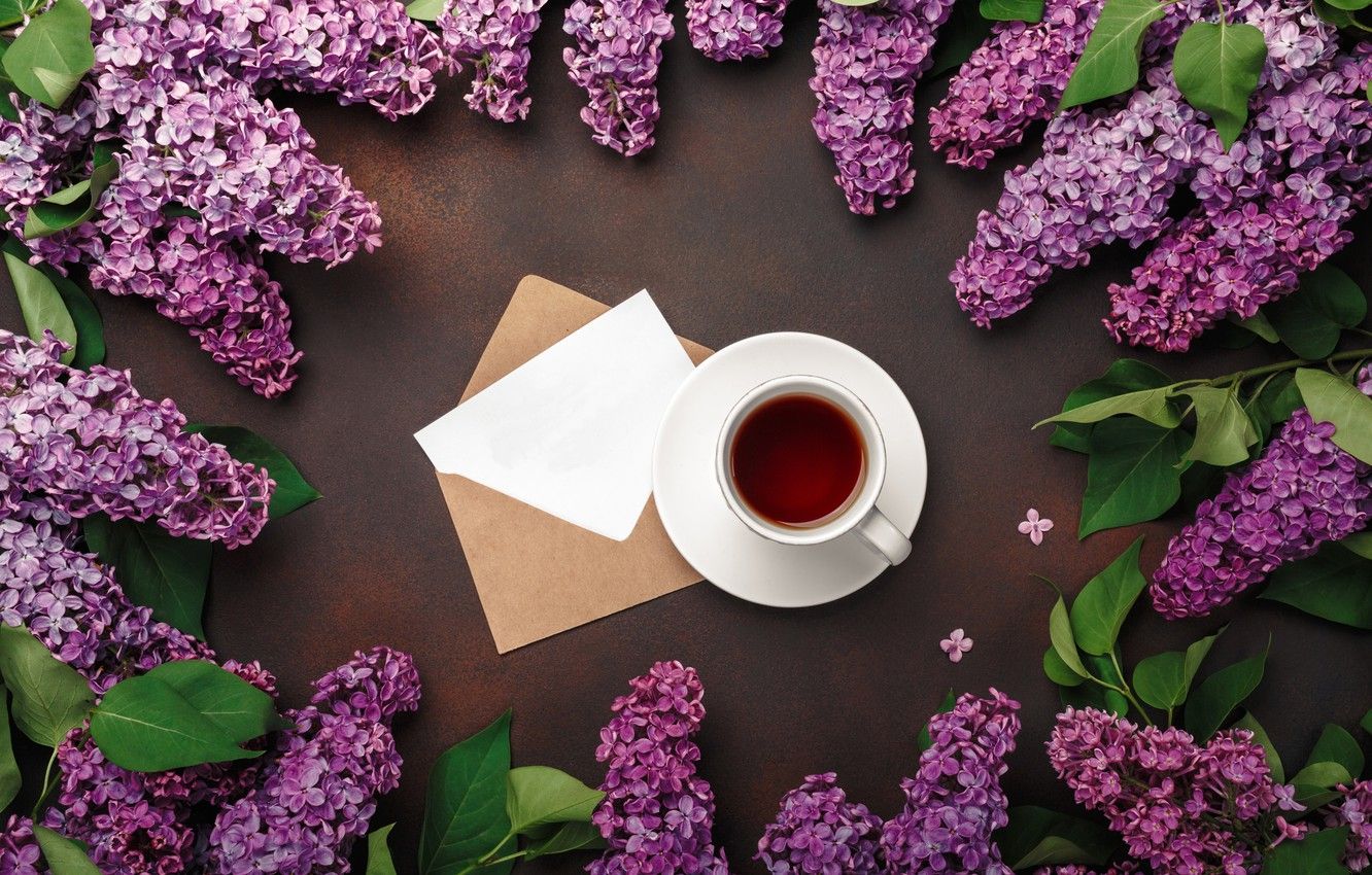 Wallpaper flowers, flowers, lilac, romantic, coffee cup, spring