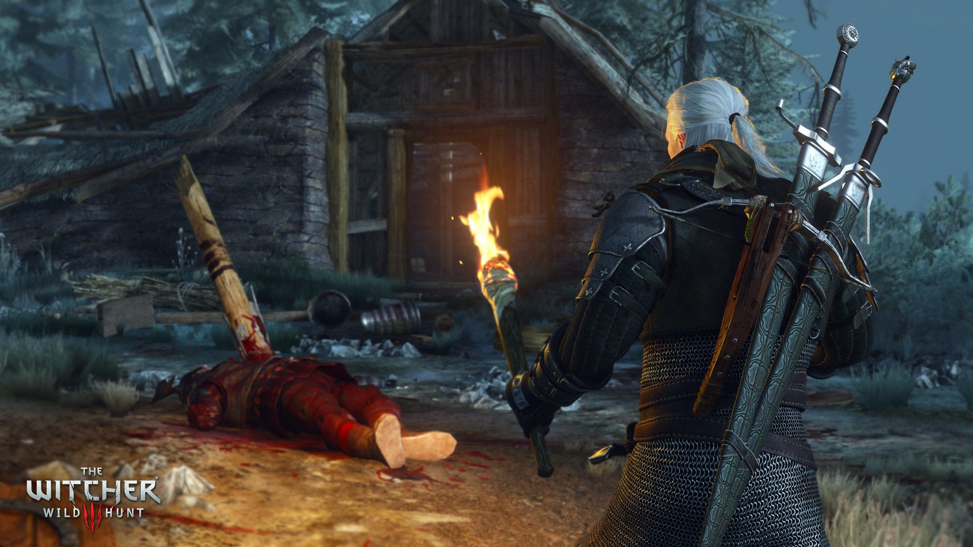 The Witcher 3 Wild Hunt HD Wallpaper