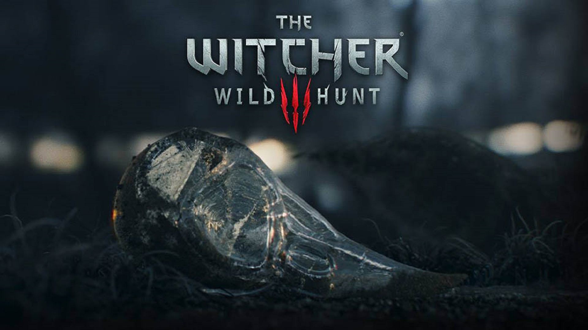 Nice Top Games Witcher Wild Hunt Hd Free Wallpaper