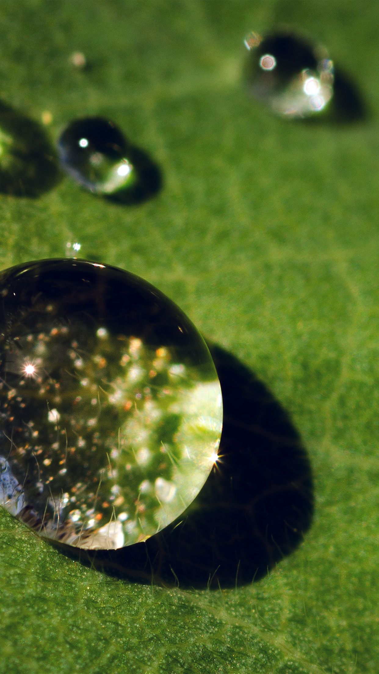 Nature Green Leaf Rain Dro Android Wallpaper Rain Drop