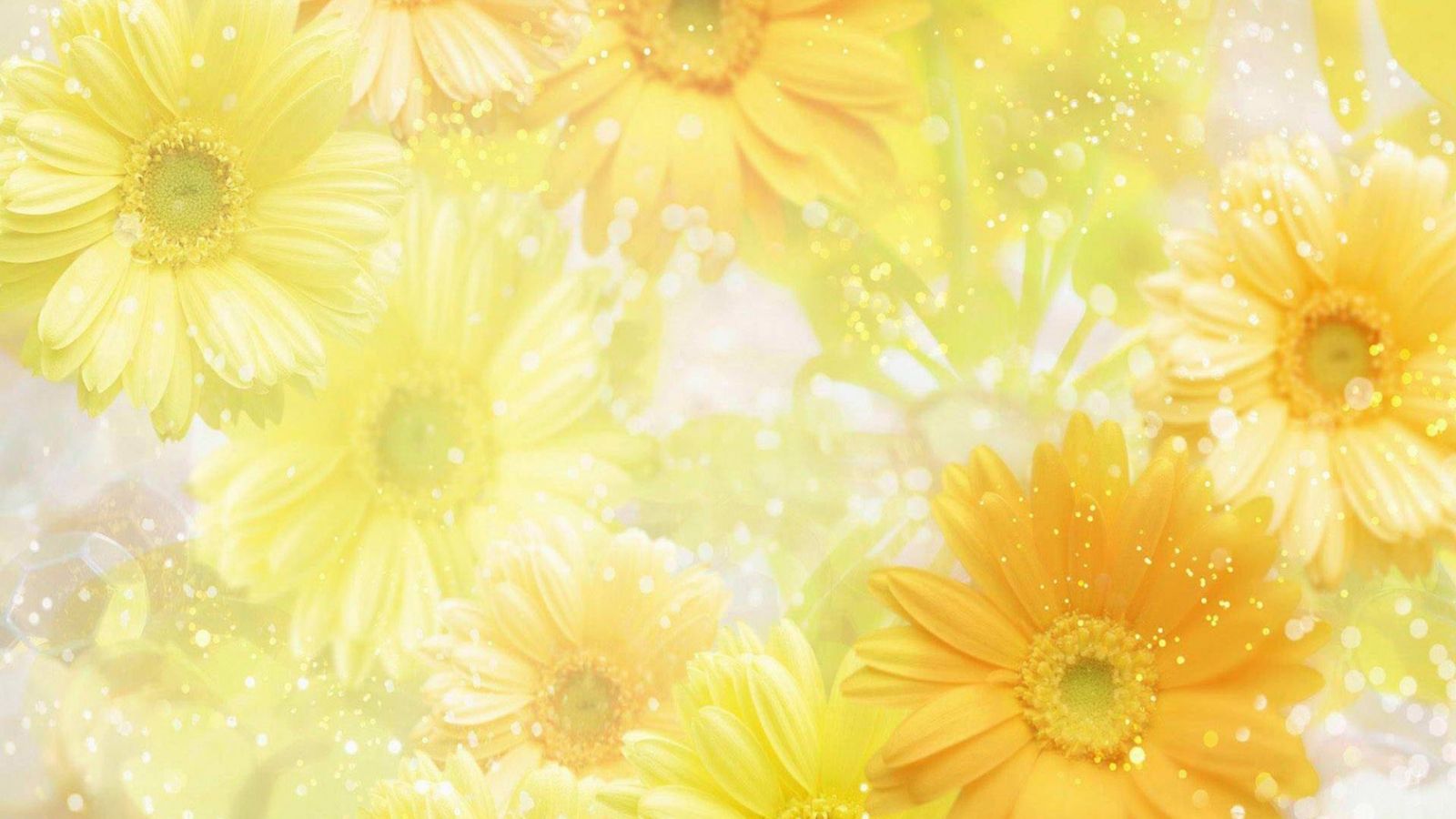 Free download Yellow Spring Flowers computer desktop wallpaper