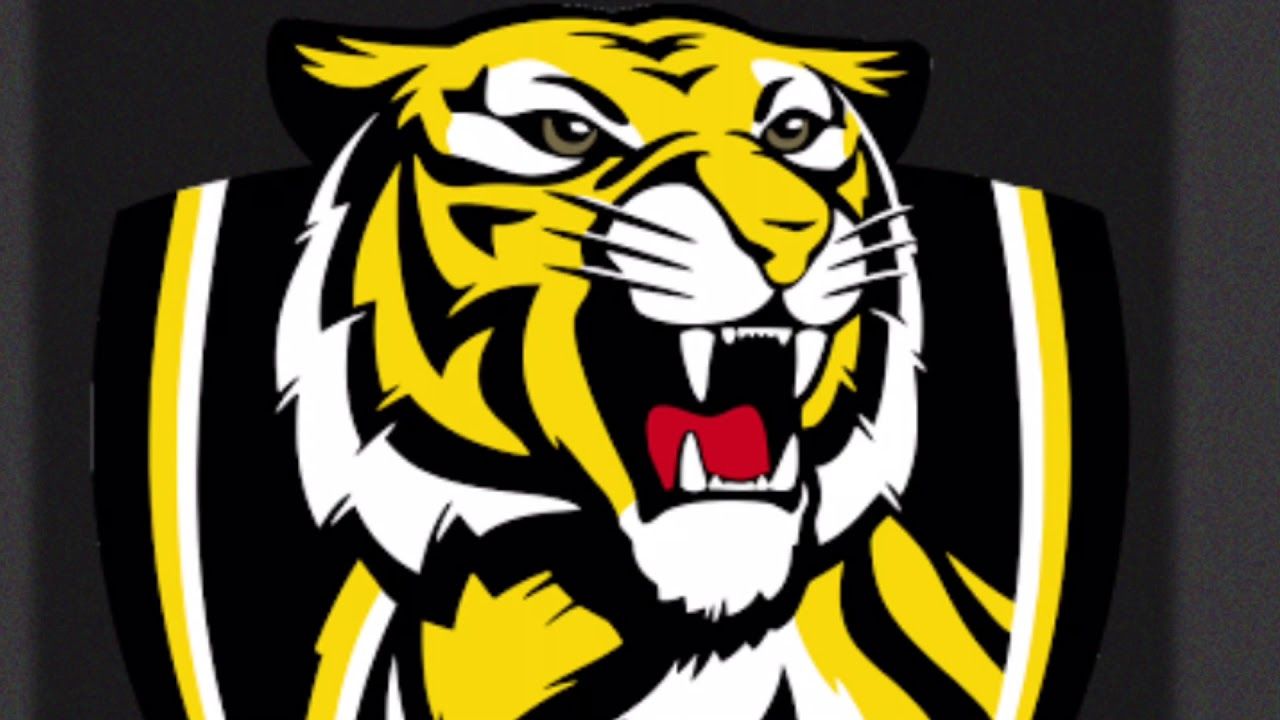 RICHMOND TIGERS THEME SONG 2017 & 2019 PREMIERS: KAVORKA REMIX