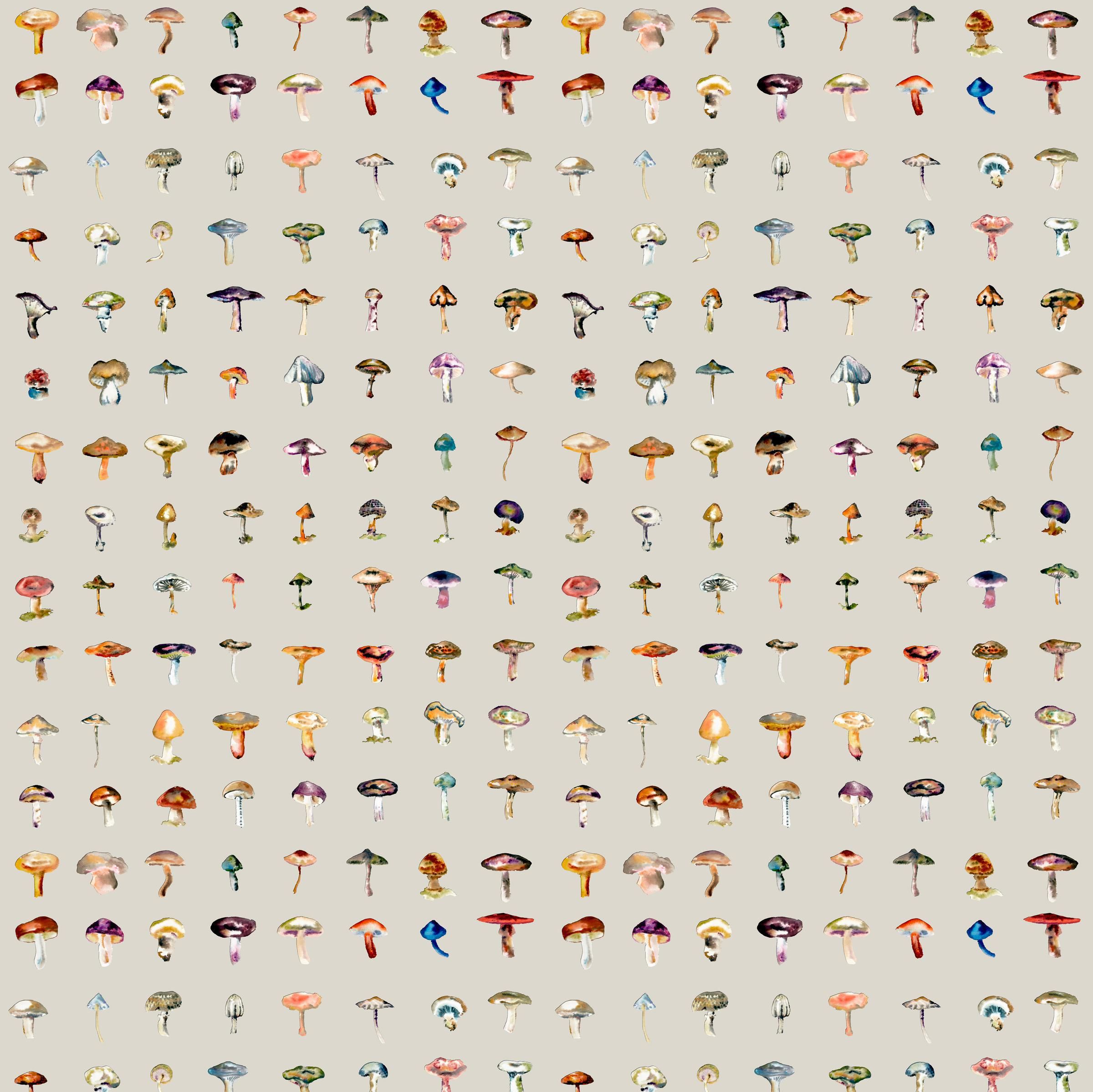 Forager Wallpaper Stone Medium by 17 Patterns in Wallpaper