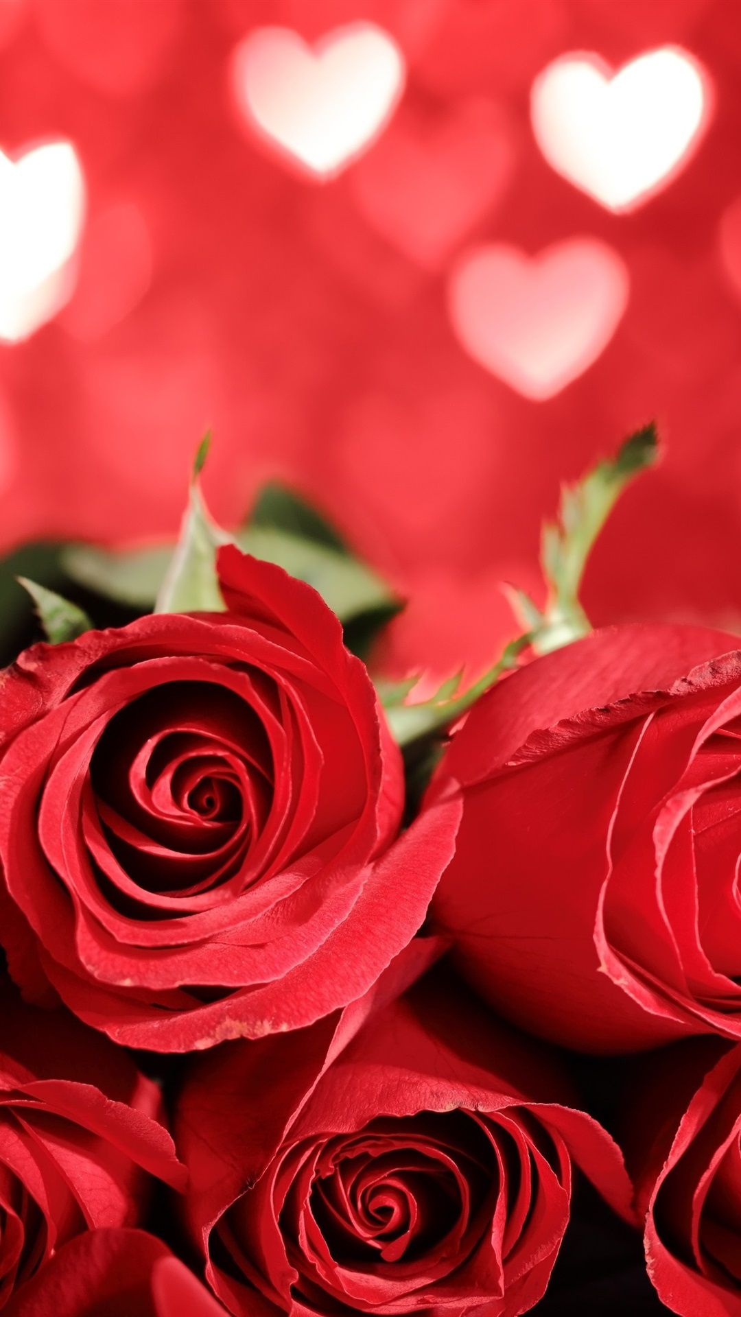 iPhone Wallpaper Beautiful Red Roses, Love Heart Background - عکس
